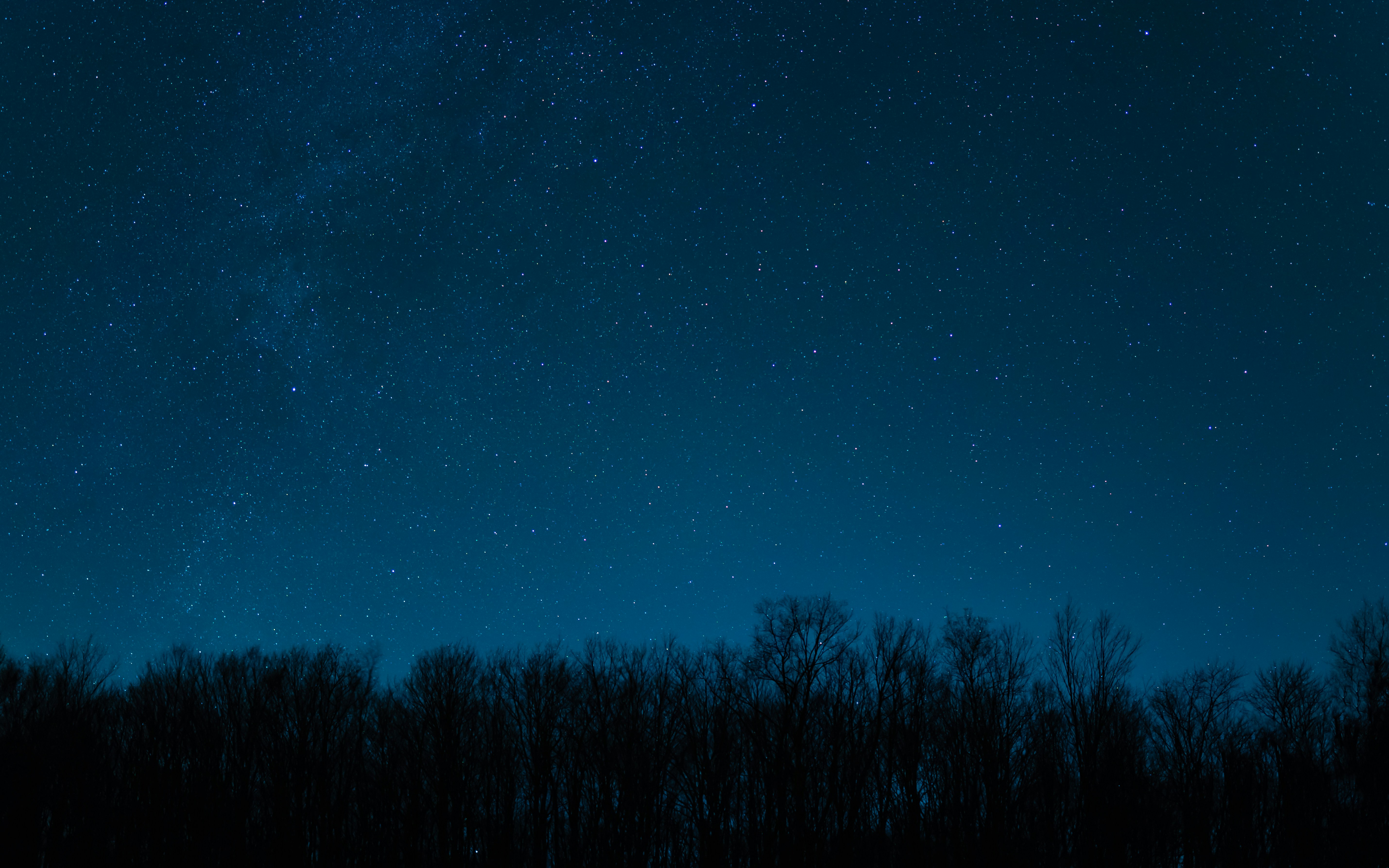 Starry Night Sky Over Forest