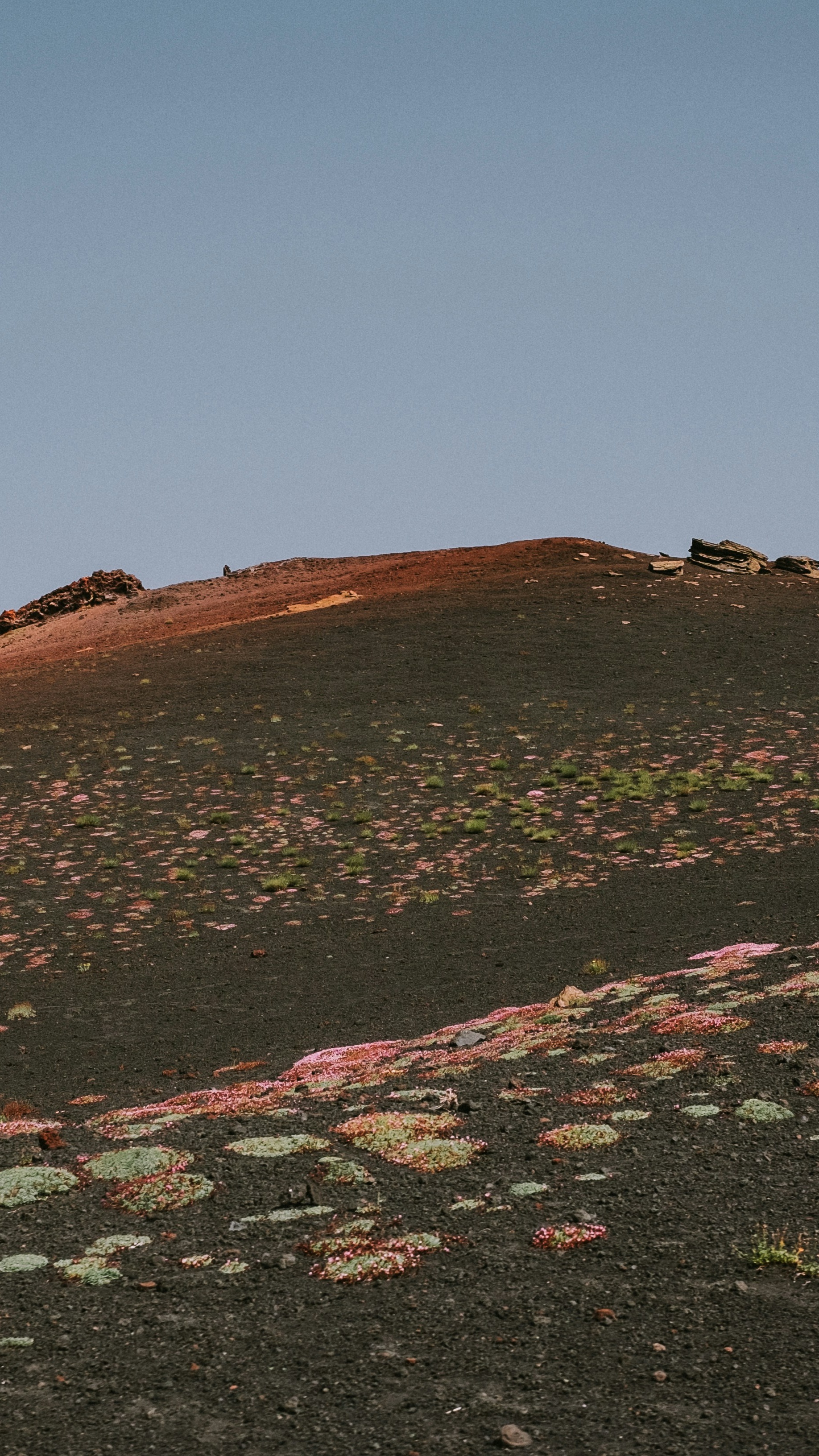 Image 1563070 — Art