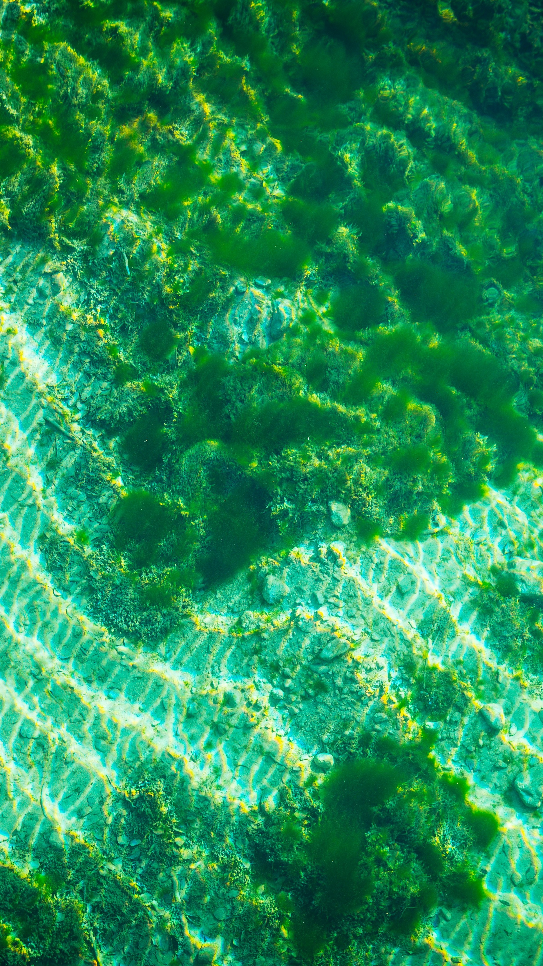 Wallpapers