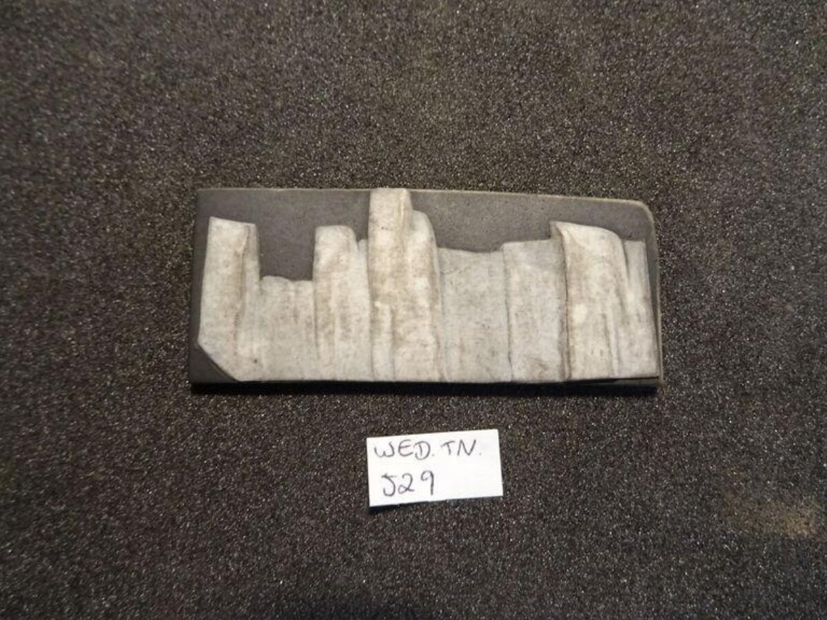 Labeled Stratified Rock Specimen