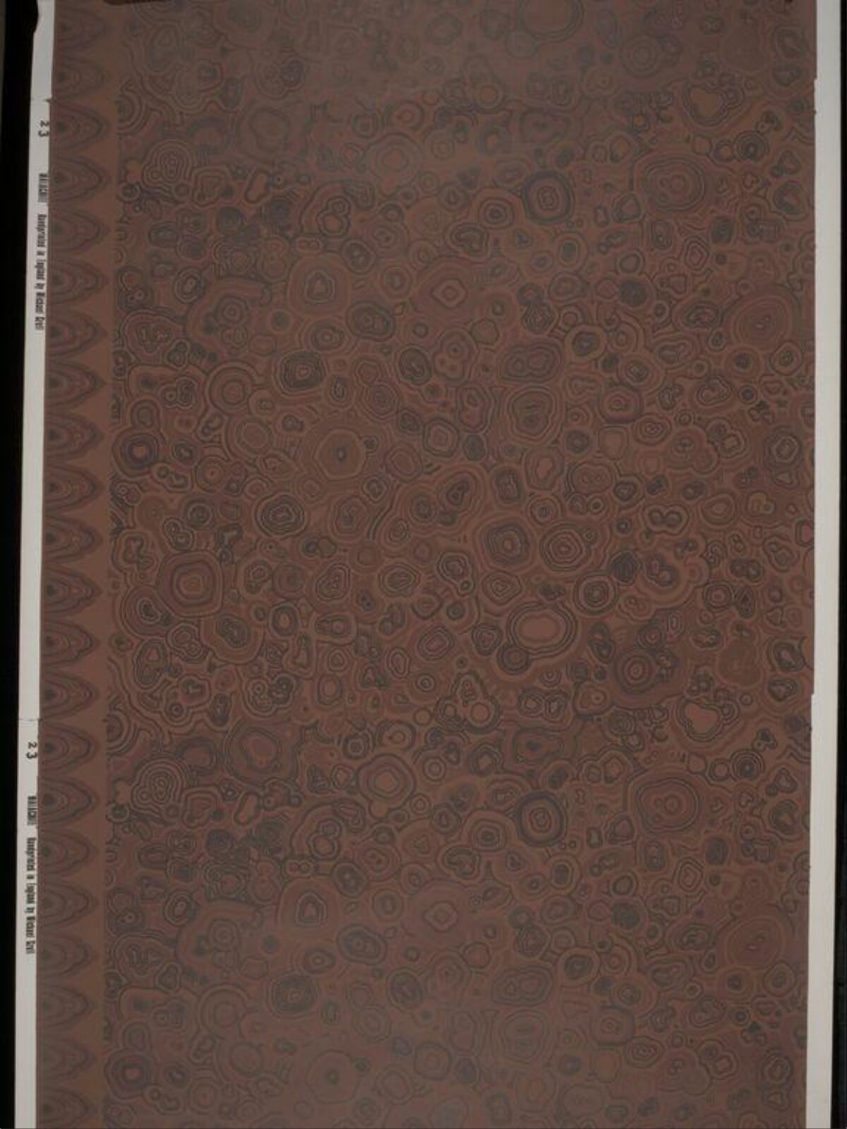 Brown Contour Geologic Map