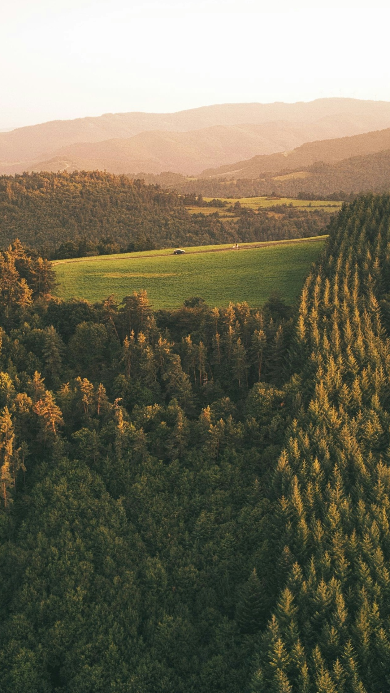 Wallpapers