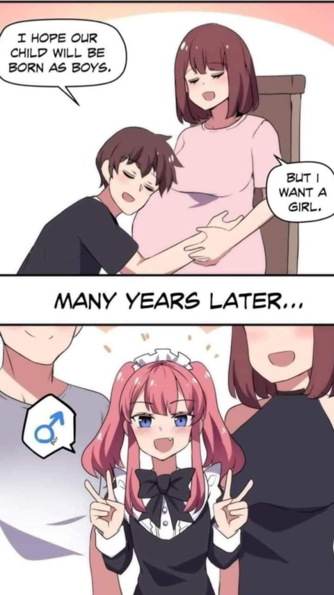Pregnancy Wish Comic Meme