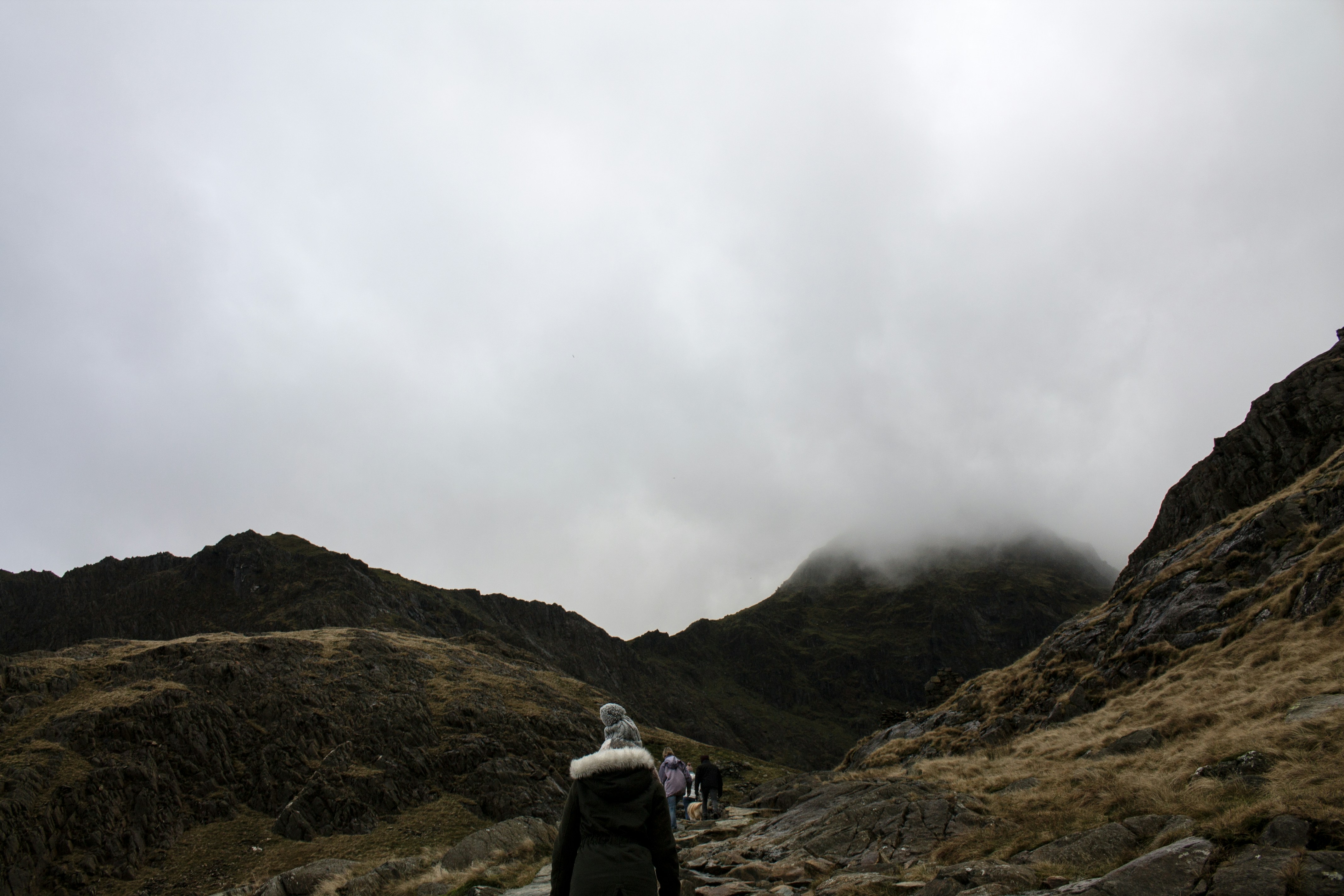 Hikers on Foggy Mountain Trail
