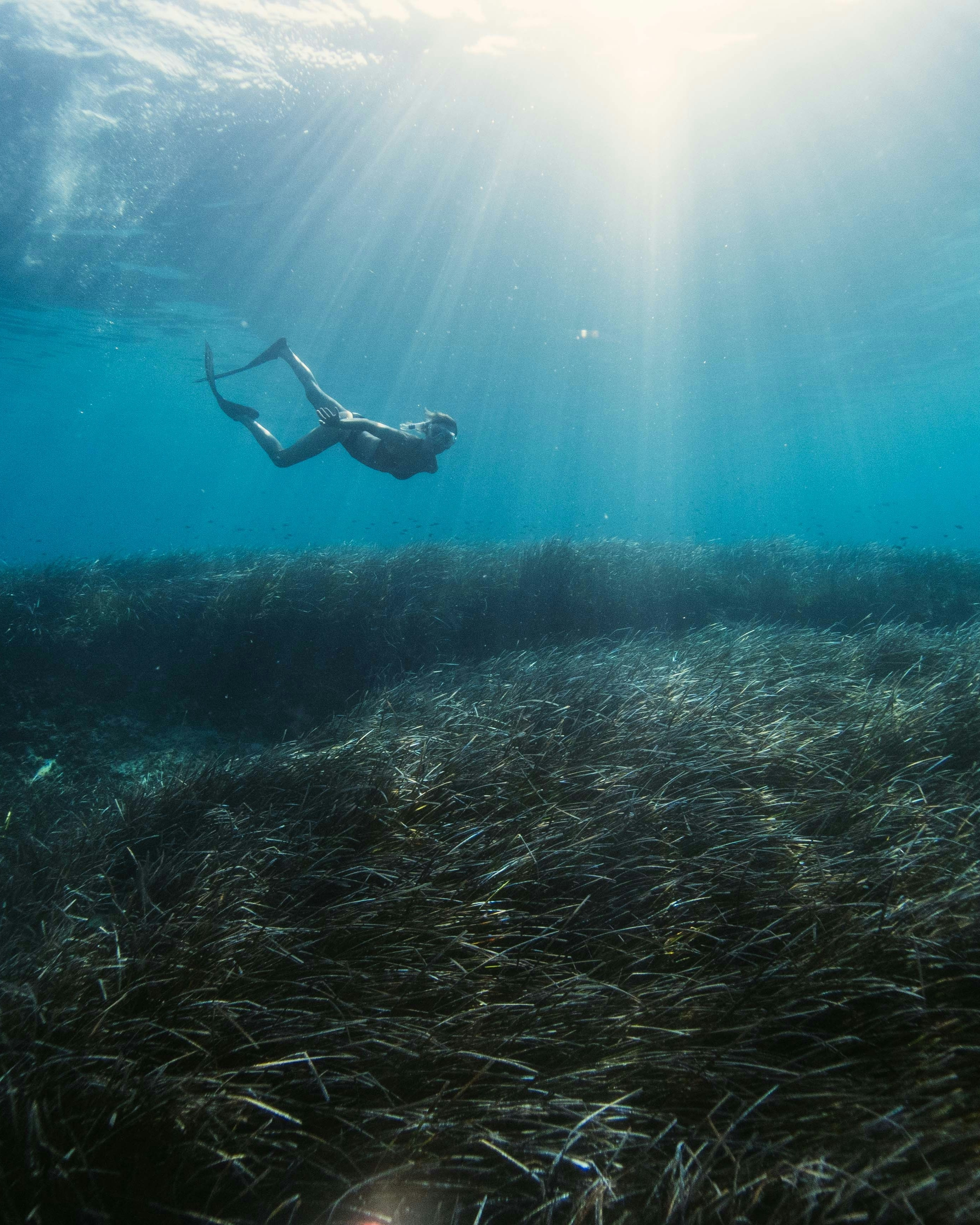 Ocean World