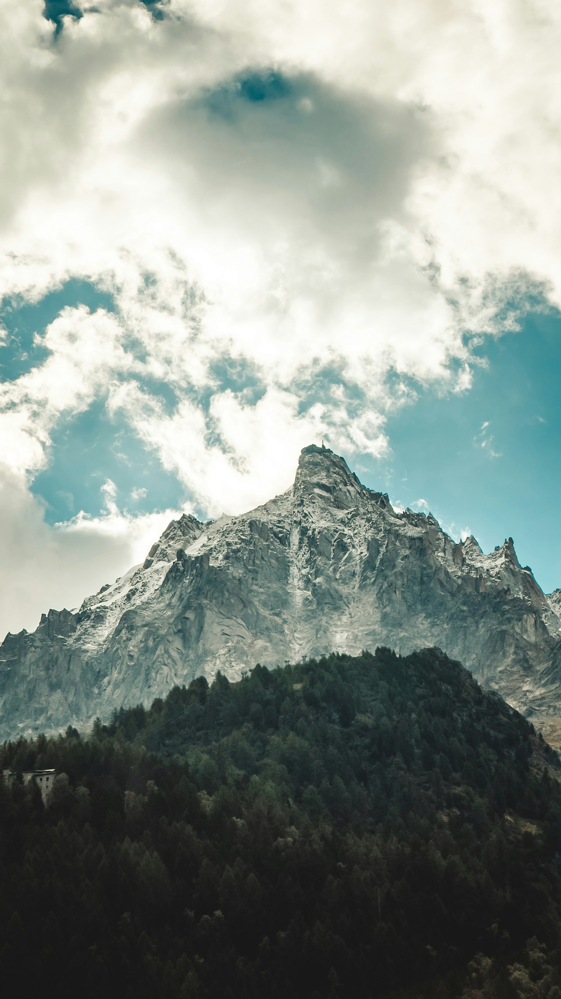 Snow-Capped Mountain with Forested Foreground