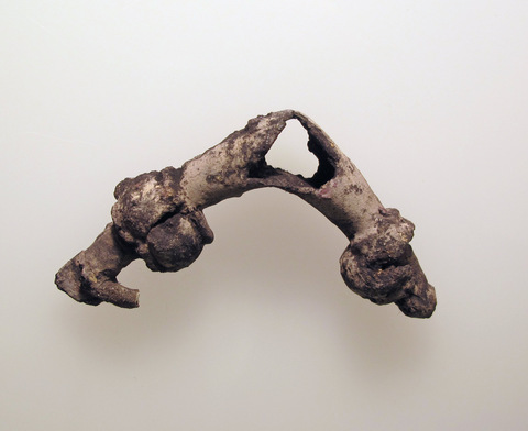 Broken Arched Fossil Bone Specimen