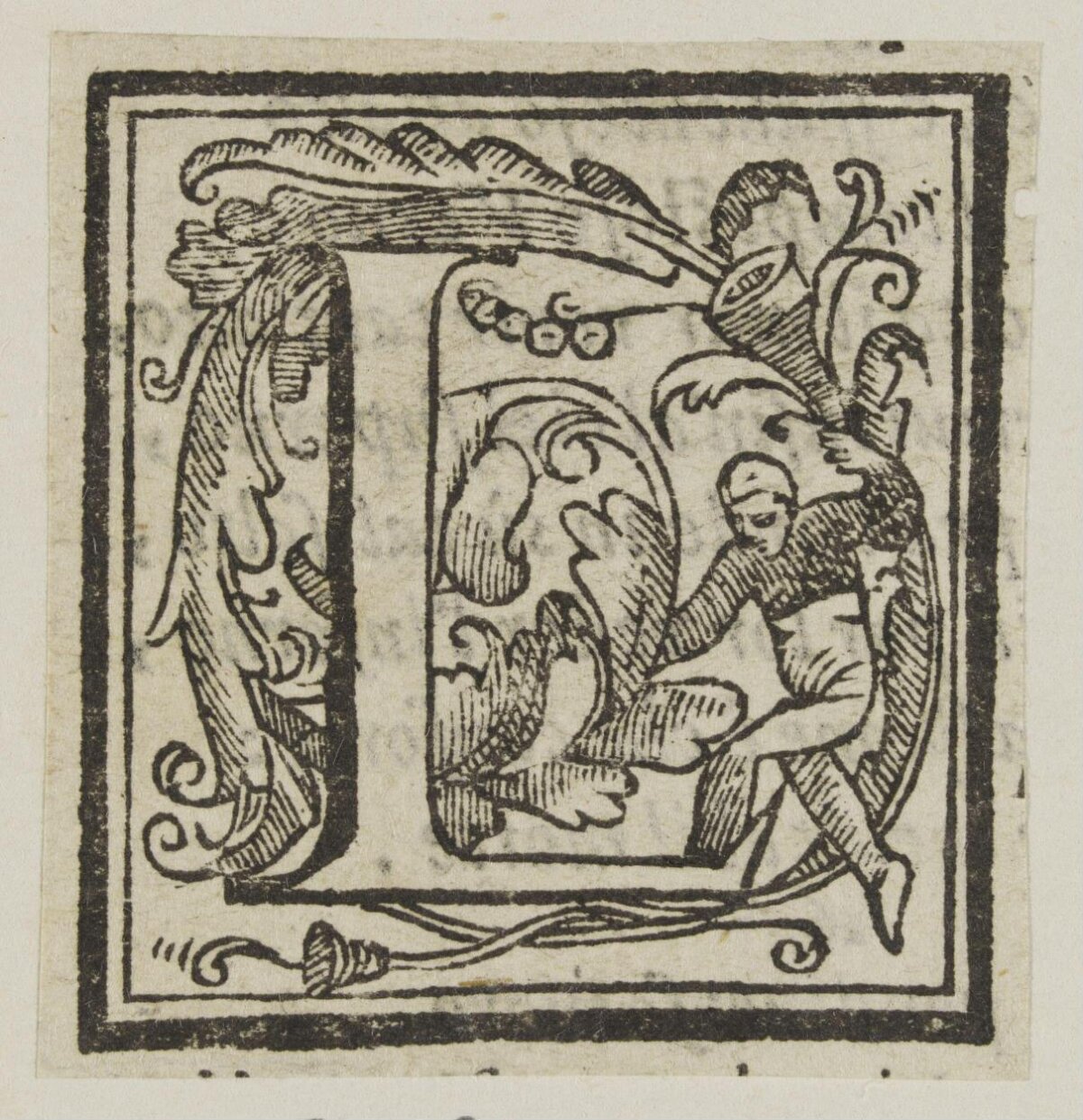 Woodcut Decorated Initial Letter D