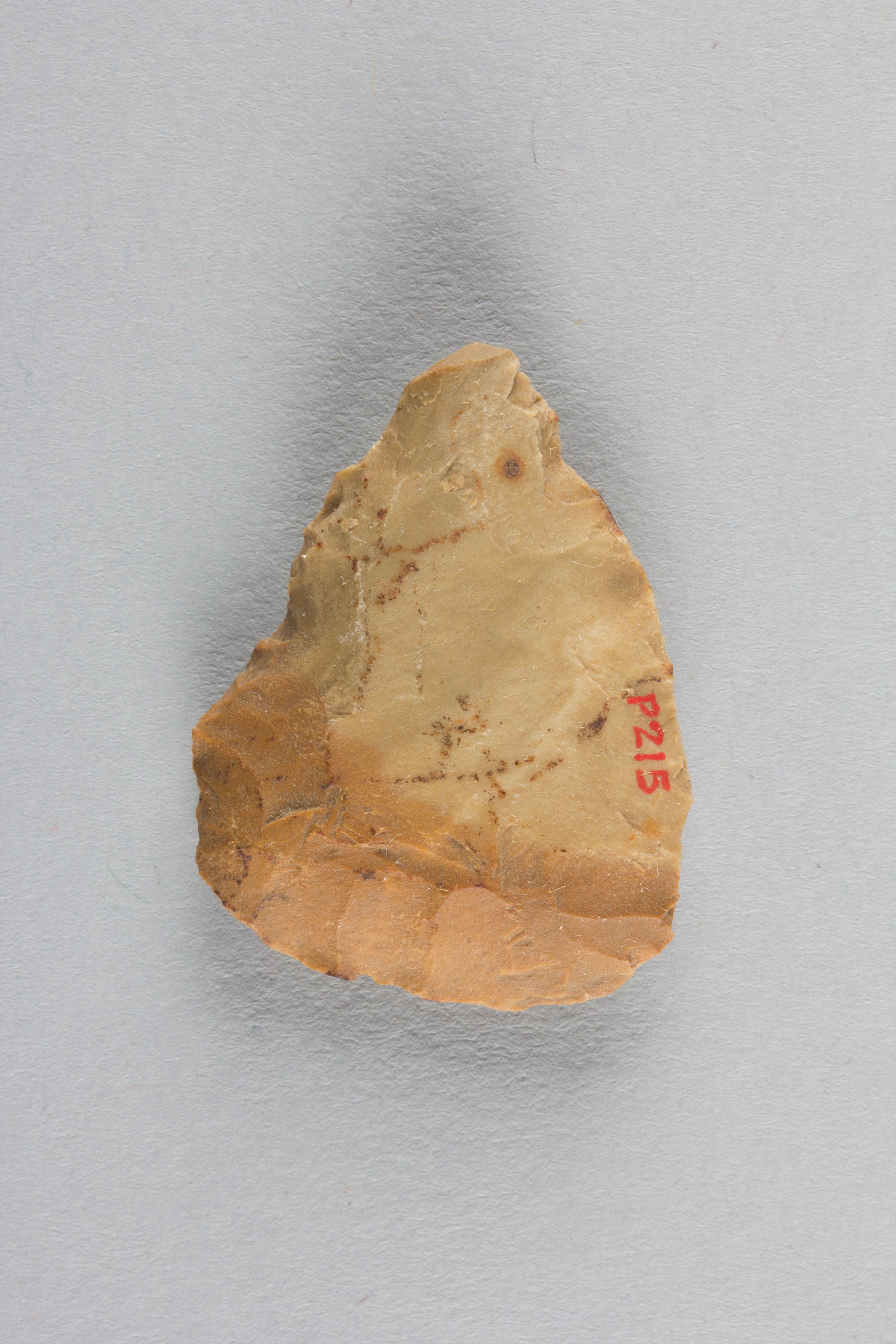 Prehistoric Stone Tool