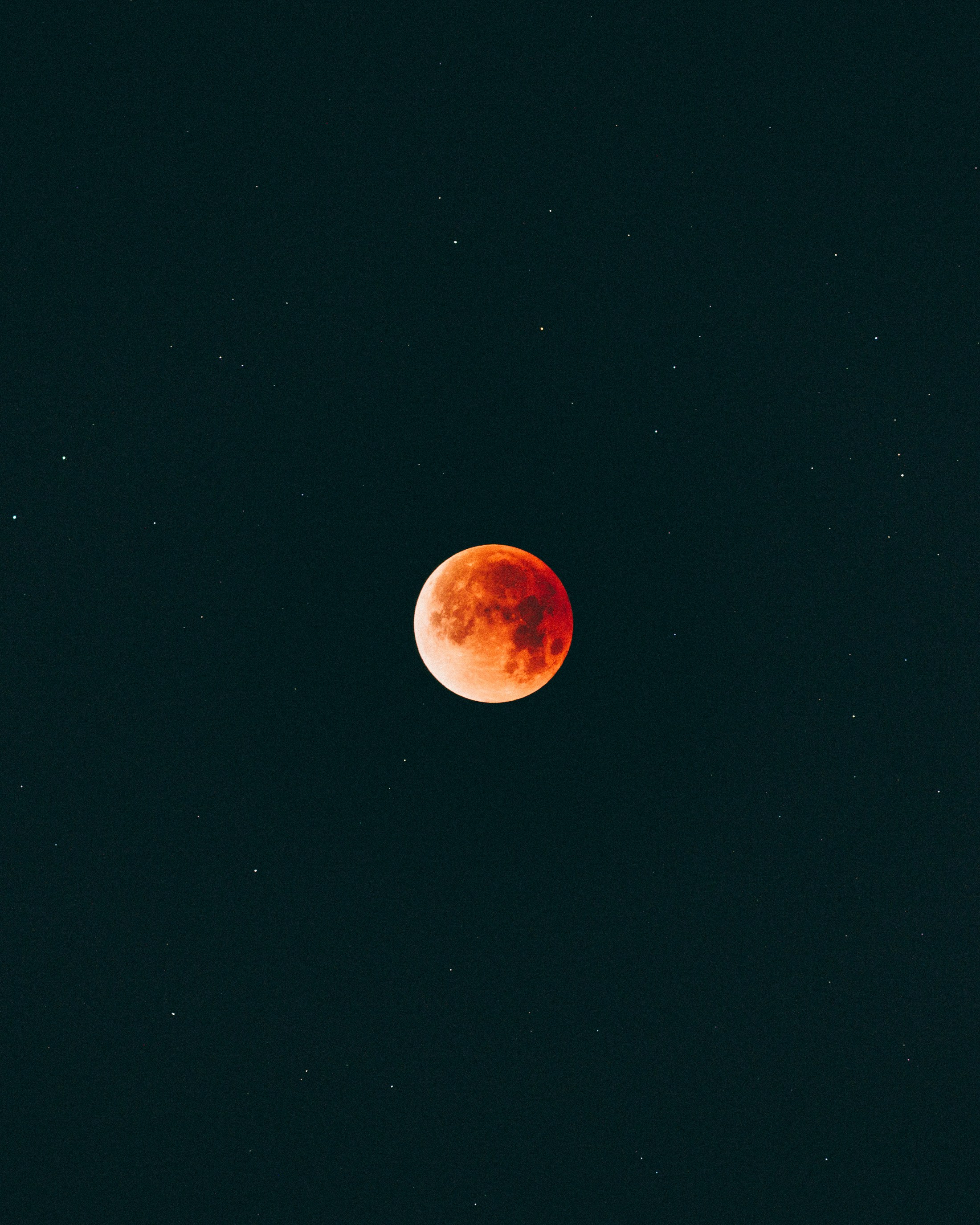 Blood Moon in Starry Night Sky