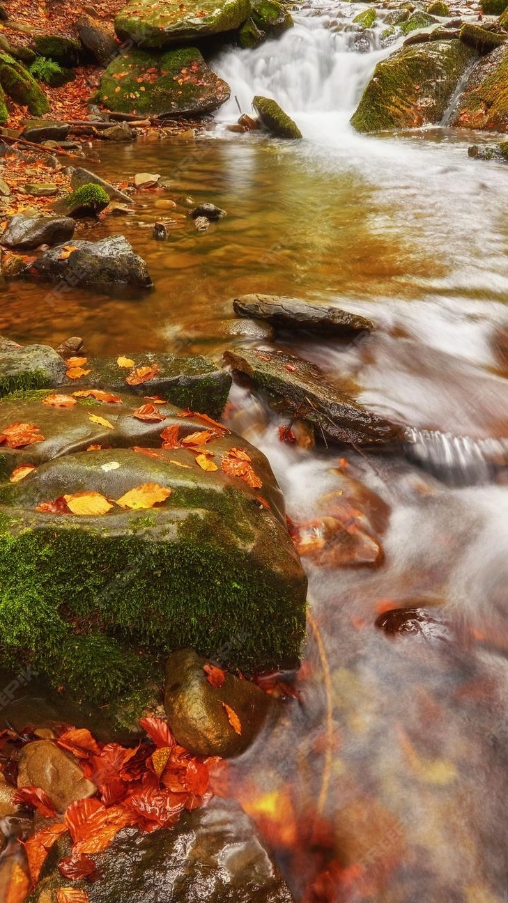 Autumn Forest Stream Waterfall