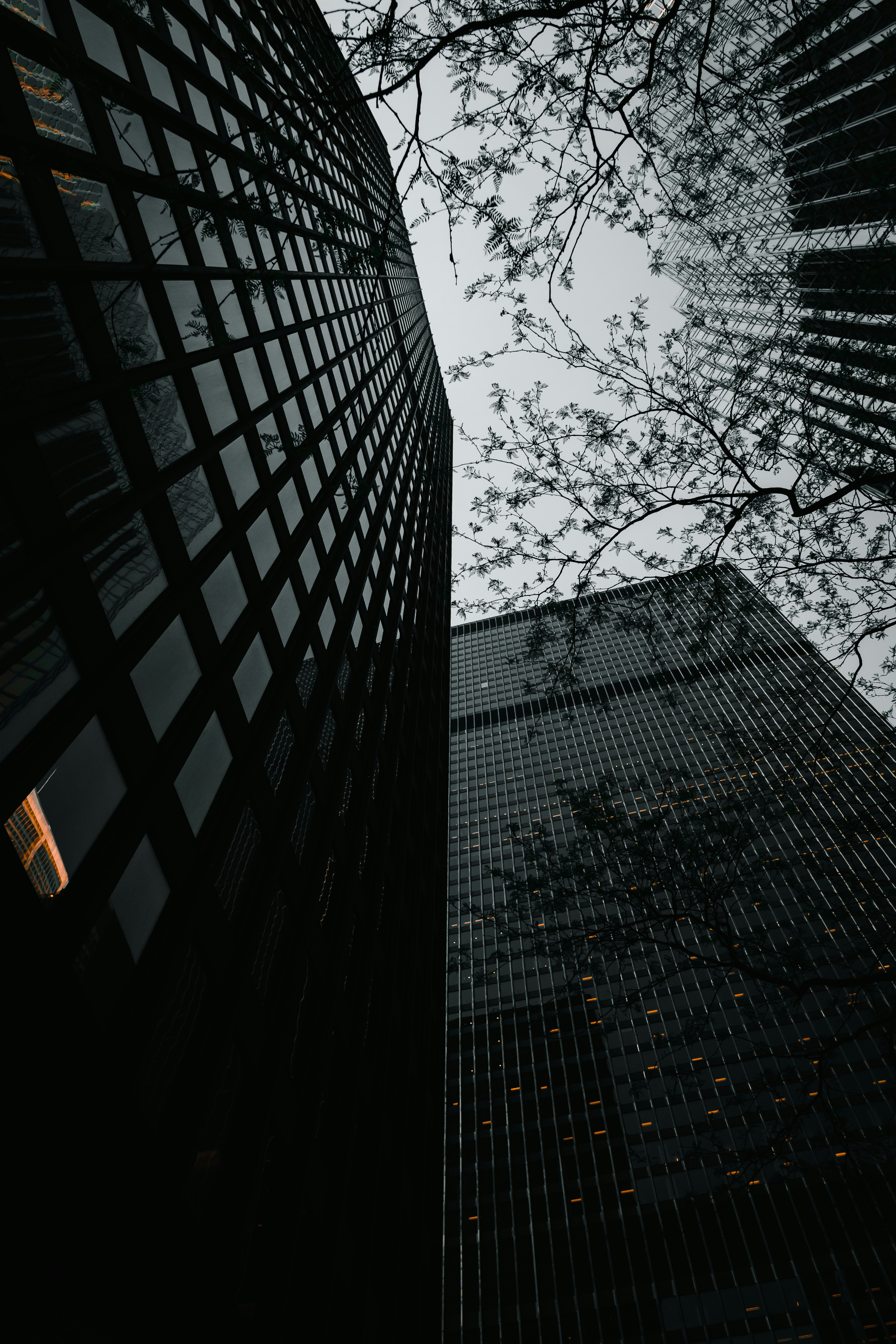 Low Angle View of City Skyscrapers