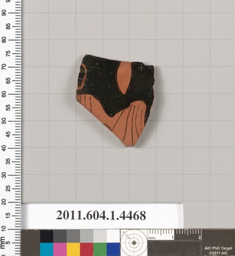 Ancient Pottery Fragment