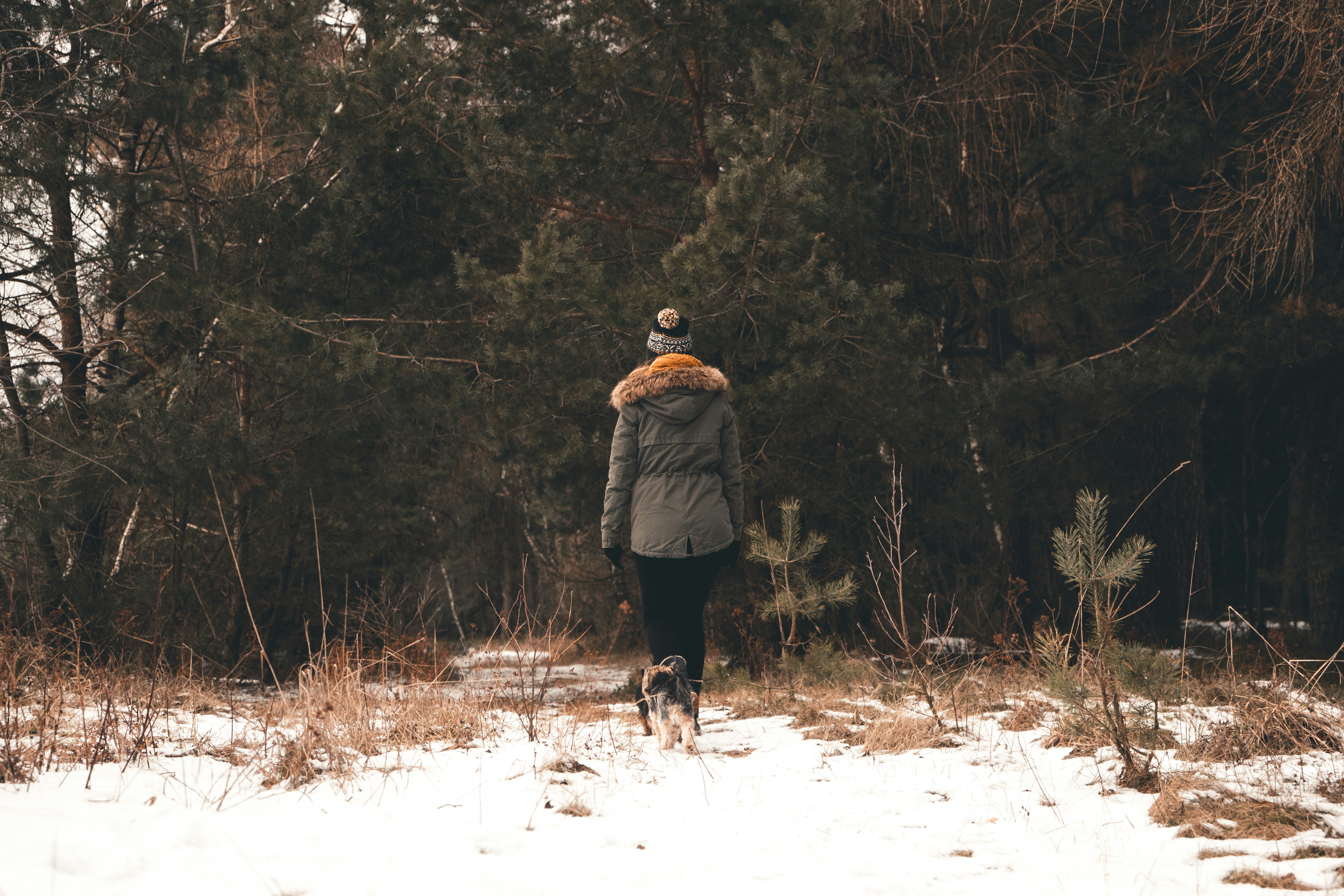 Woman Walking Dog in Snowy Forest