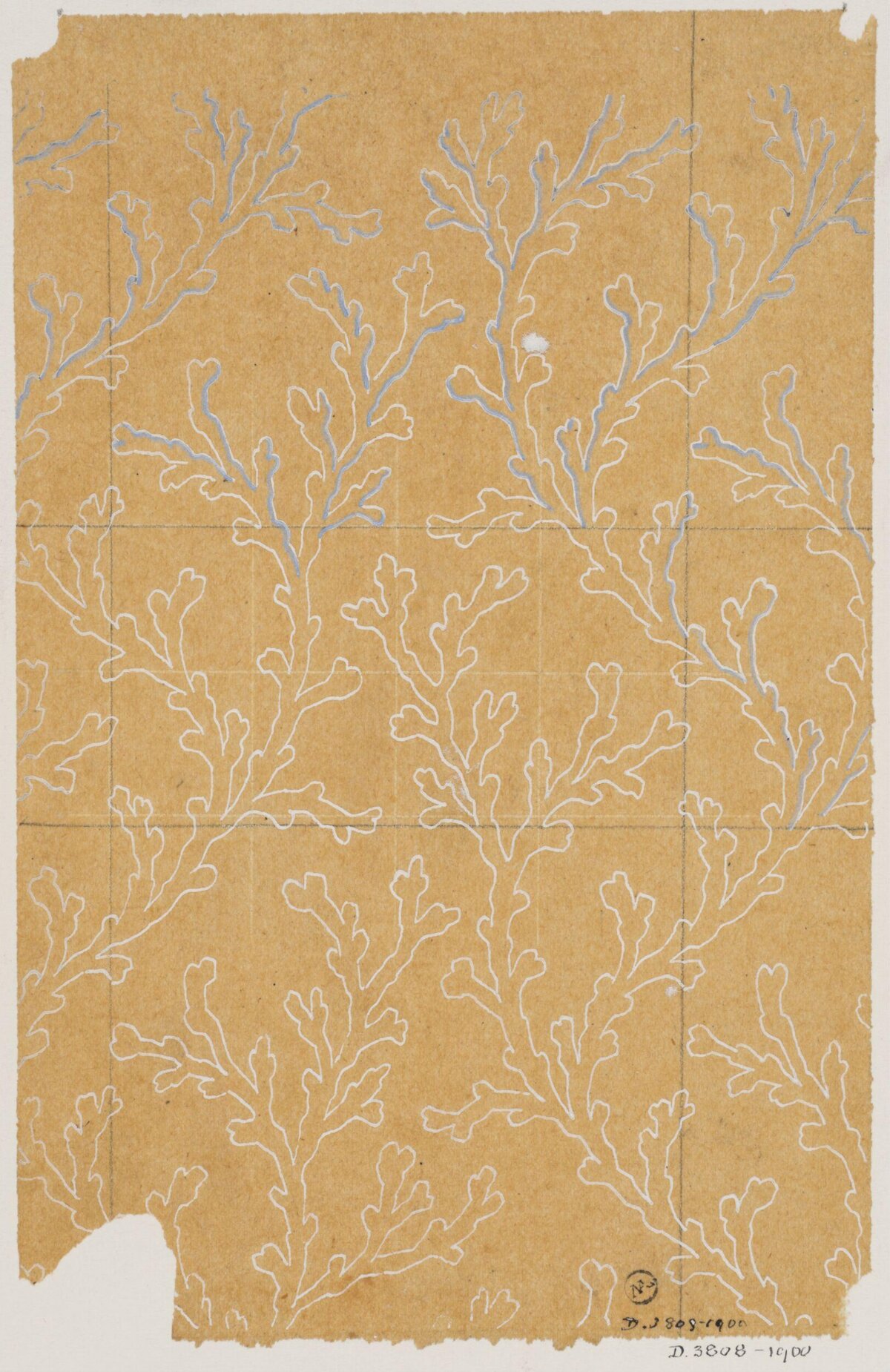 Coral Branch Pattern Design Sketch