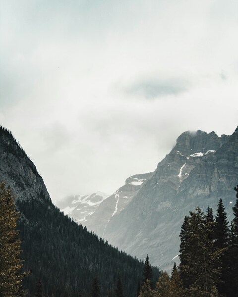 Misty Forested Mountain Valley