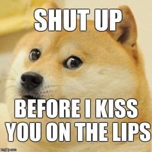 Funny Doge Meme