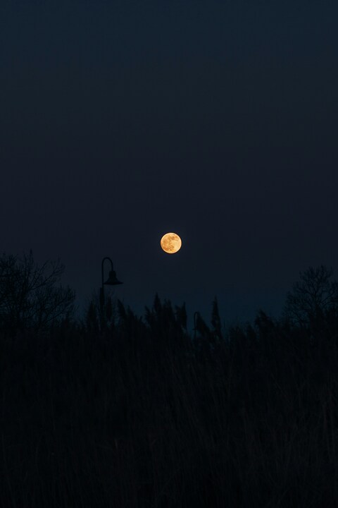Full Moon Over Night Landscape