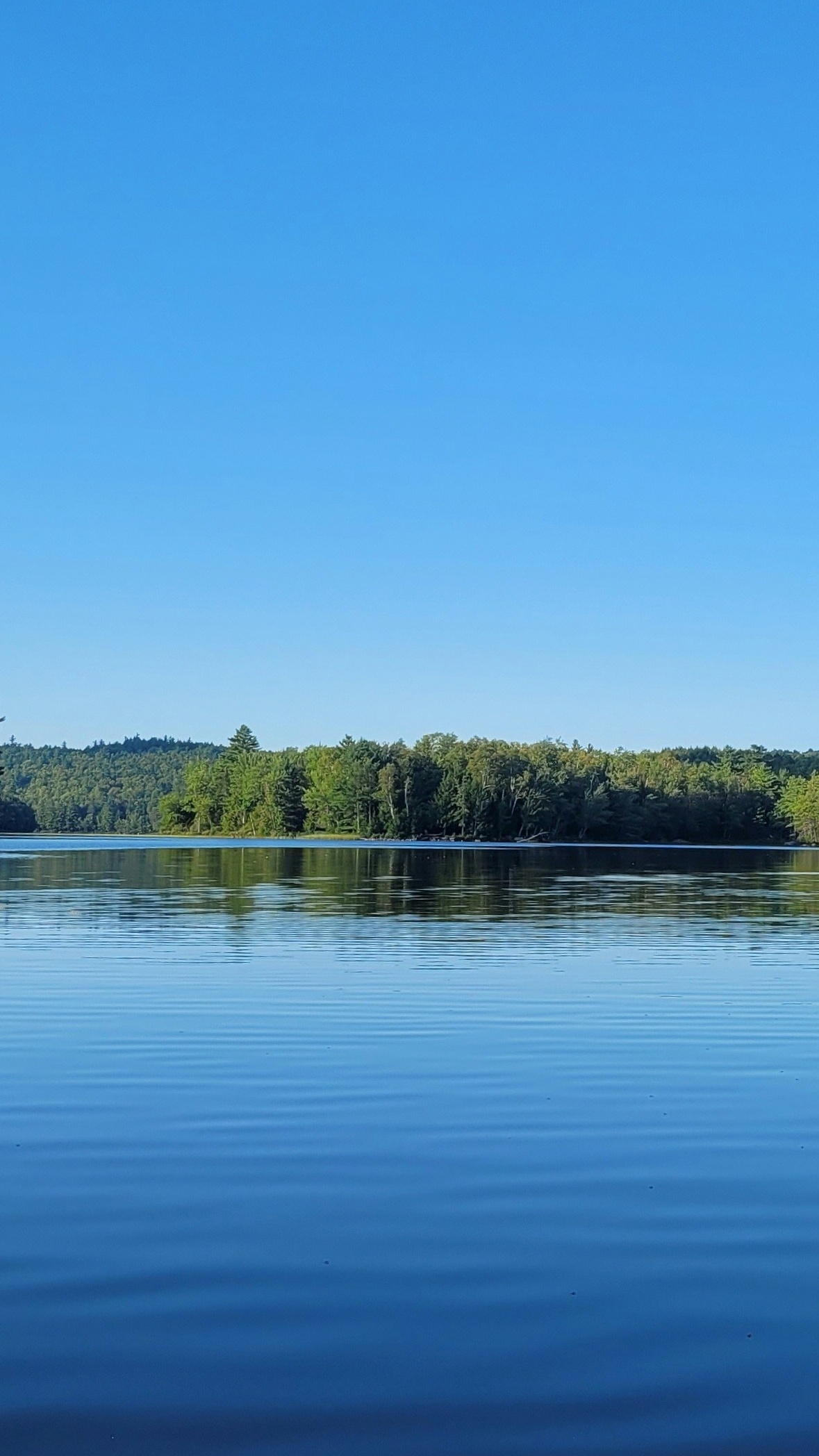 Image 1558212 — Nature