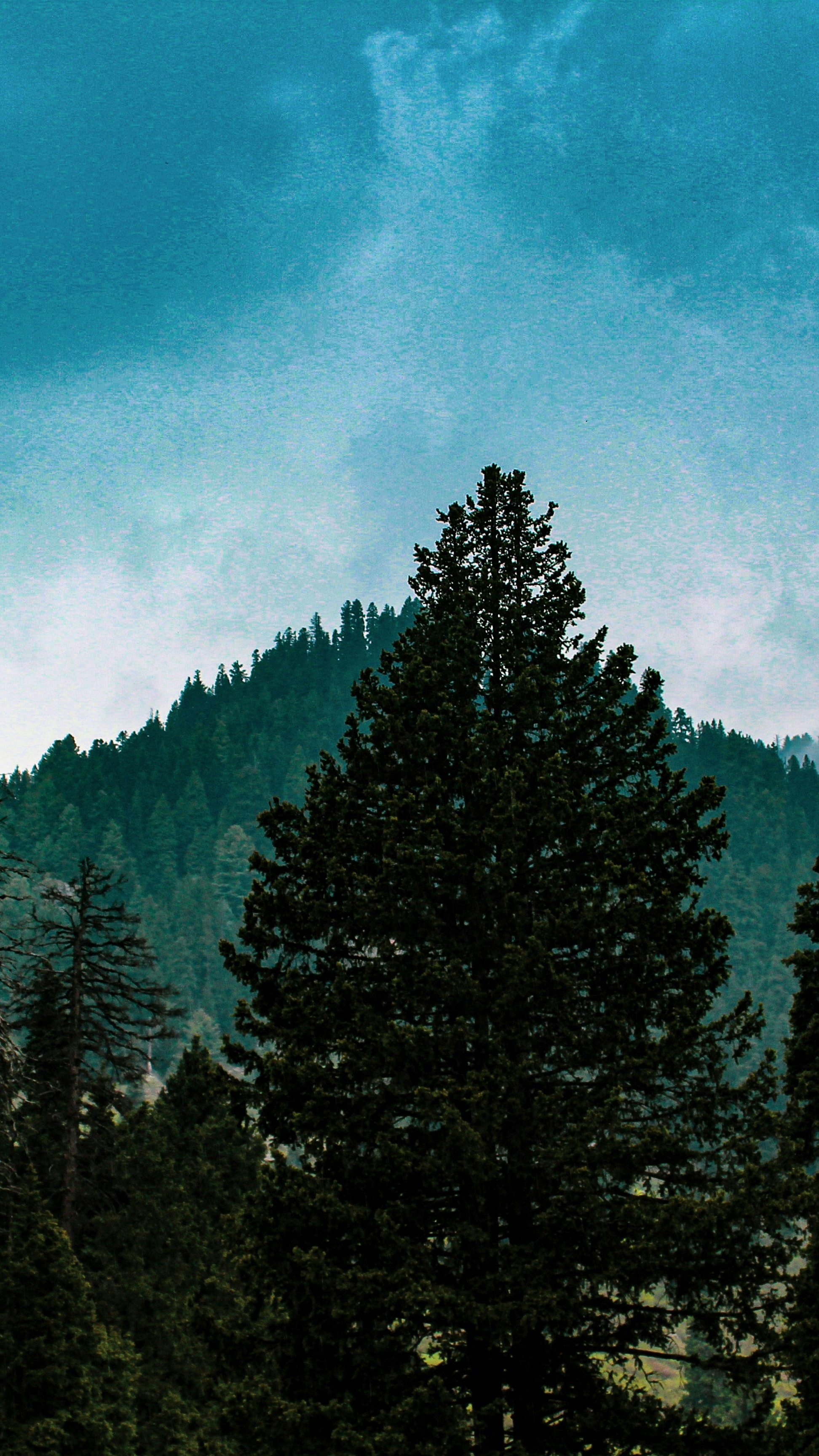Wallpapers