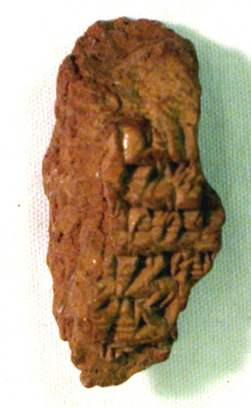 Irregular Brown Rock Specimen