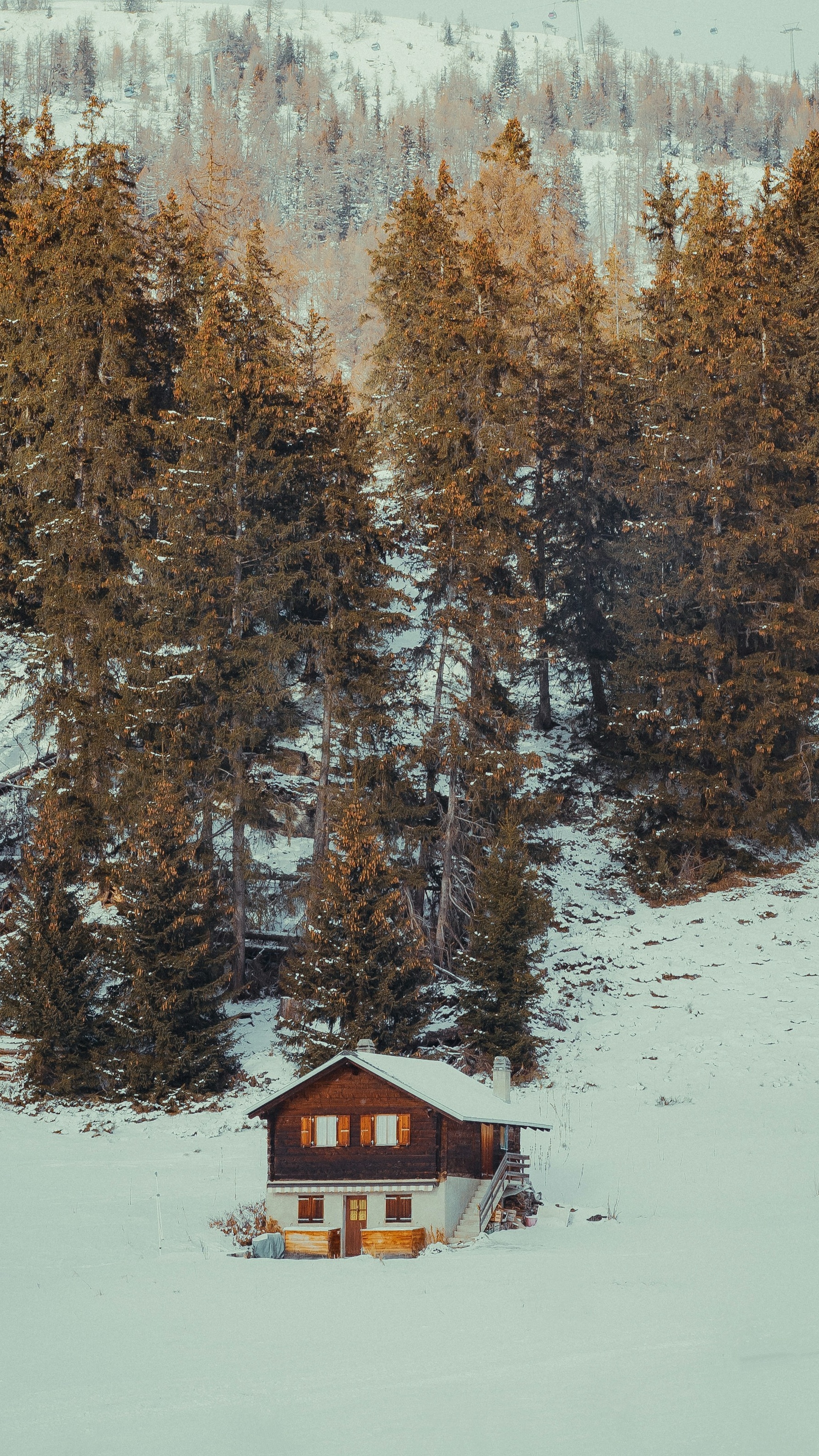 Wallpapers