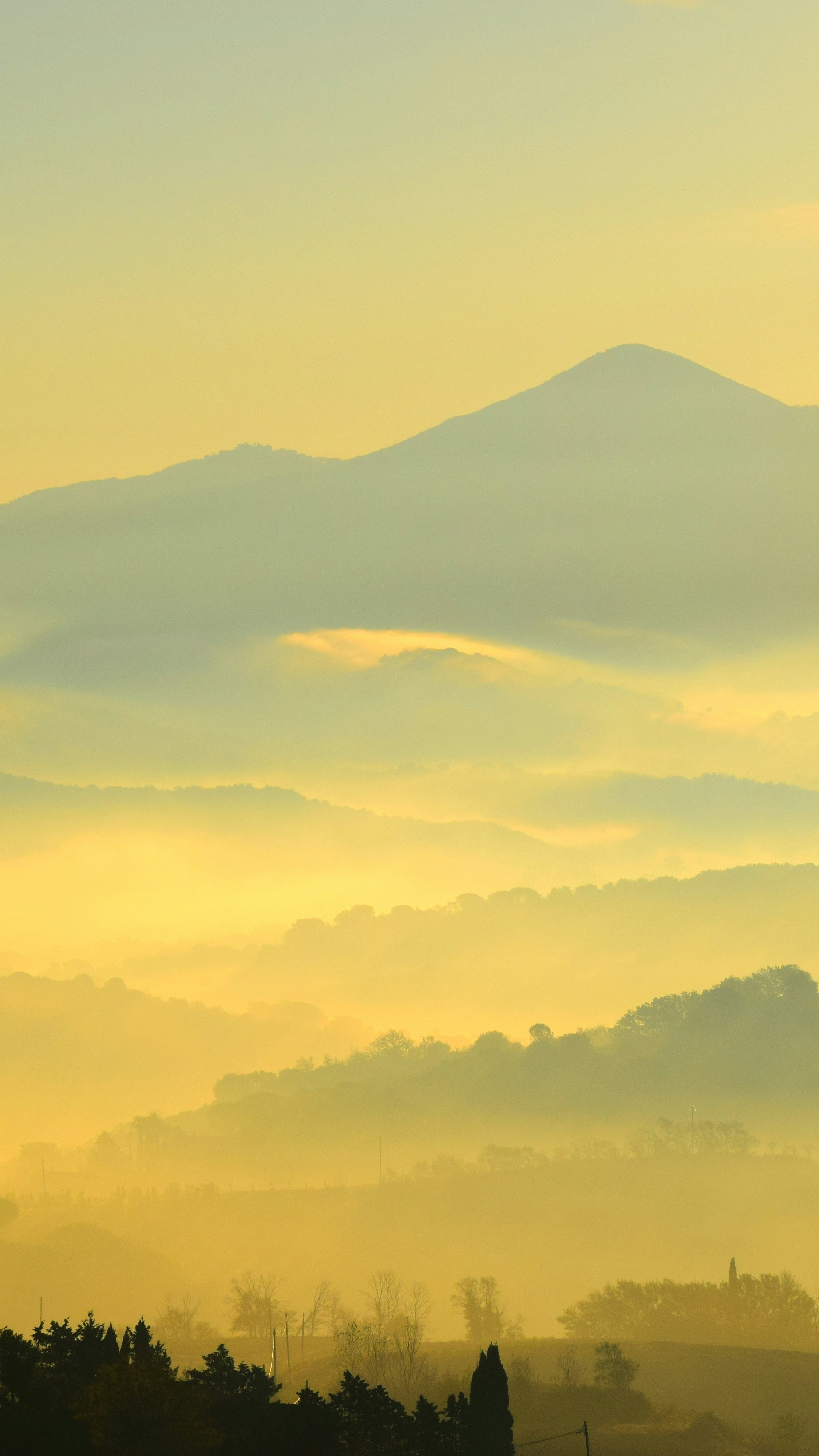 Landscapes