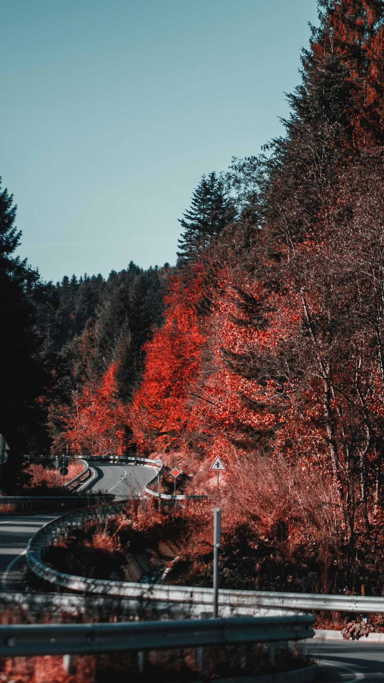 Wallpapers