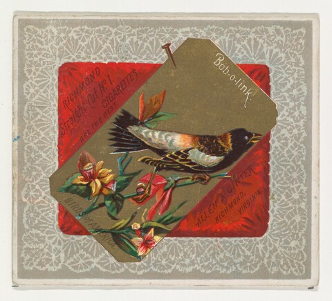 Vintage Bob-o-link Cigarette Card