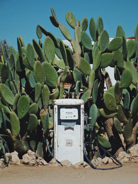 Abandoned Gas Pump Among Cacti