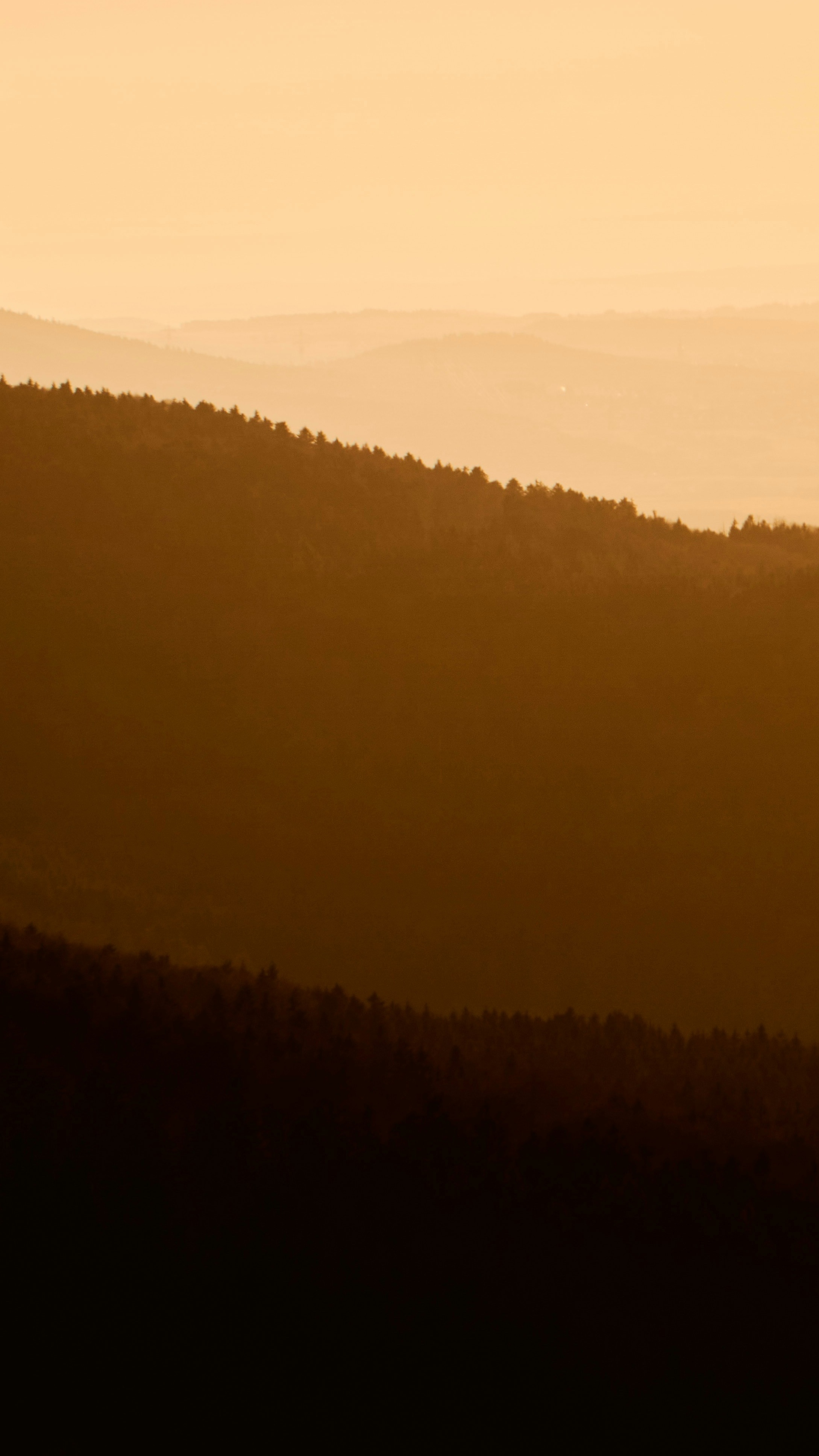 Landscapes