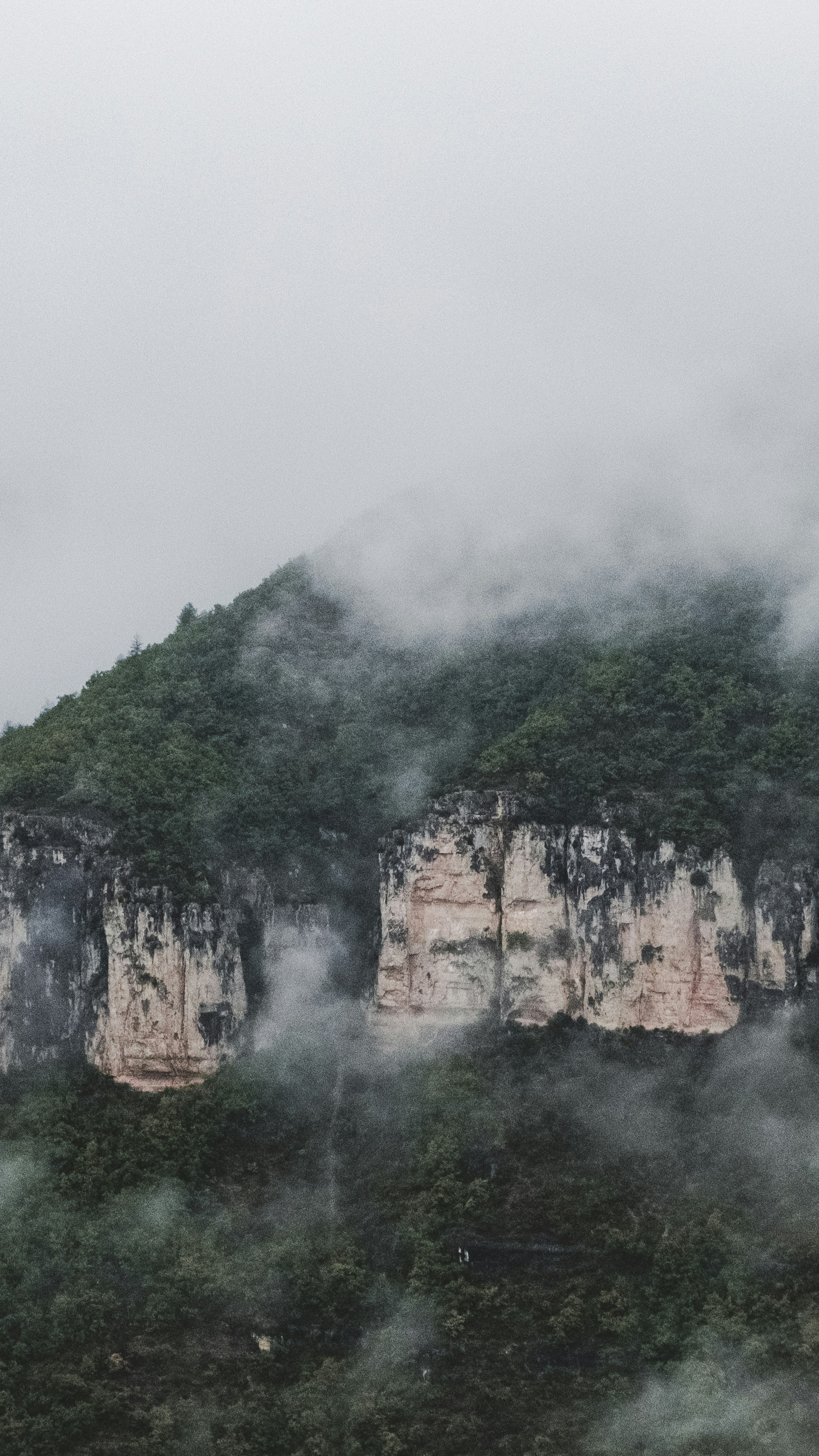 Landscapes