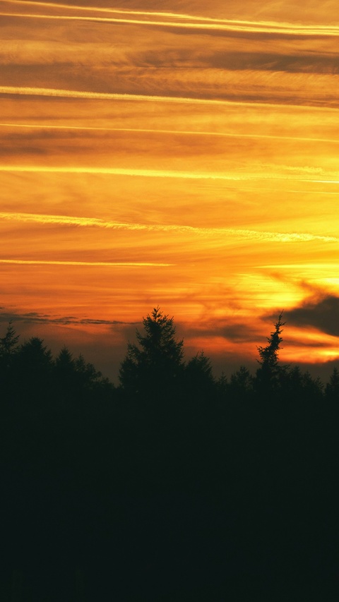 Sunset Sky Over Tree Silhouettes