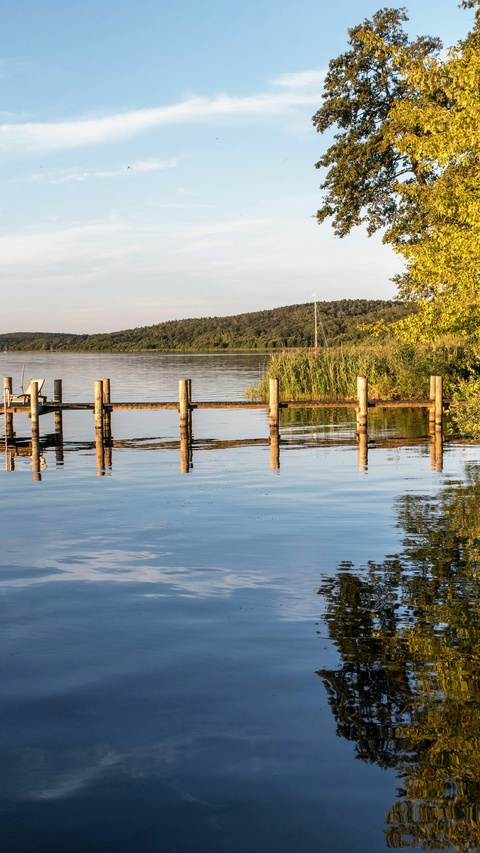 Wooden Dock on Calm Lake