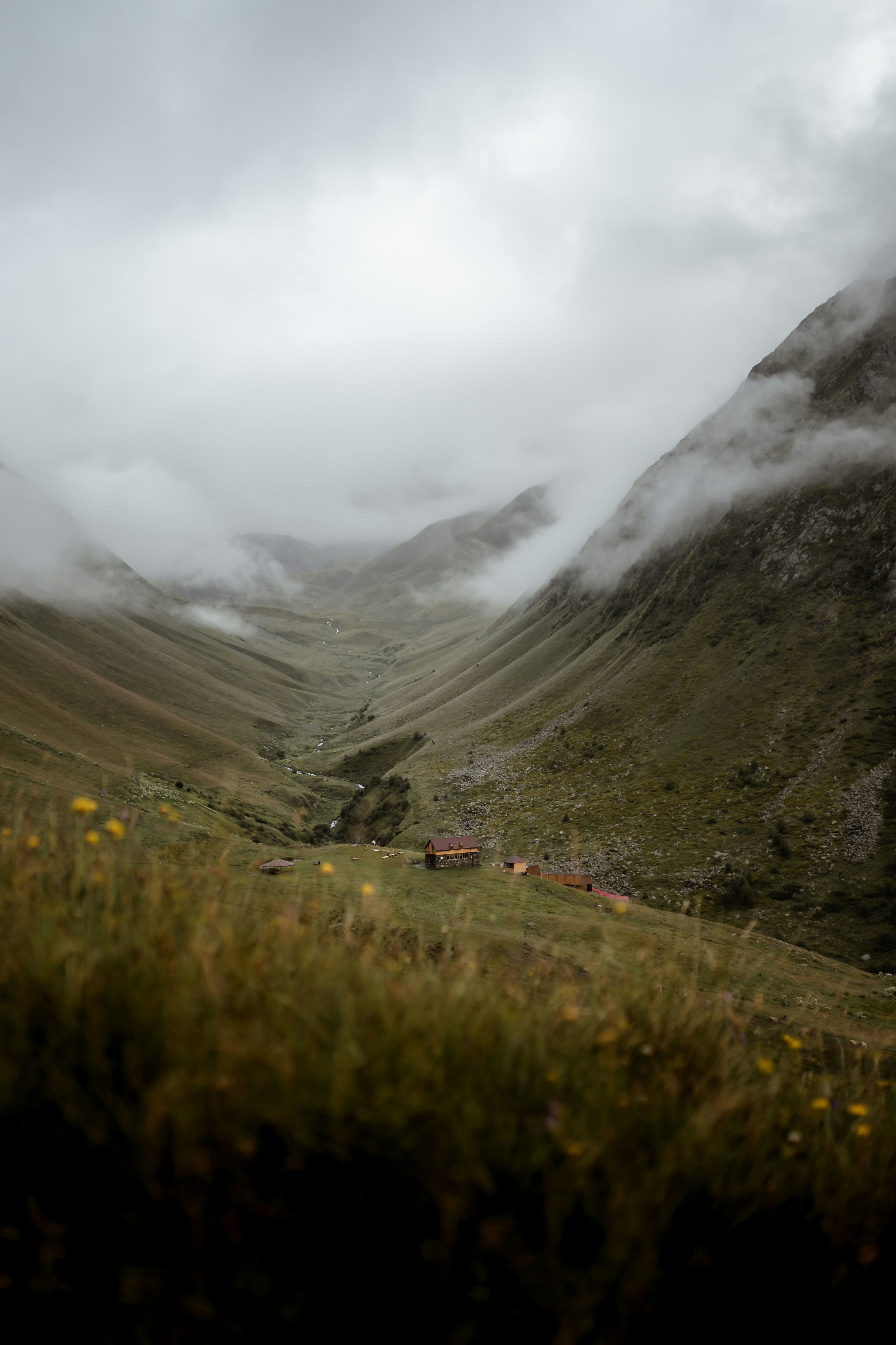 Misty Mountain Valley Landscape