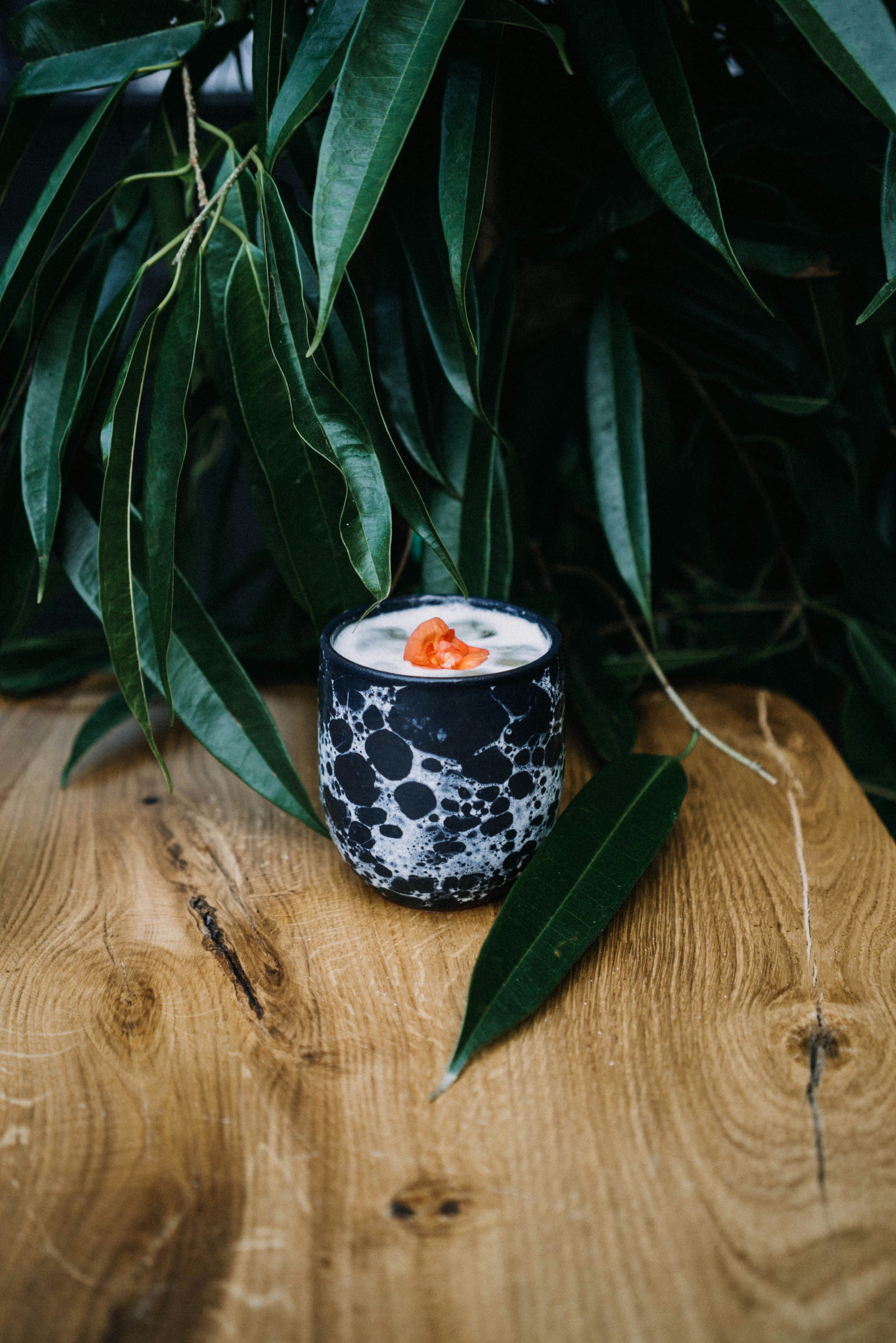 Garnished Cocktail on Wooden Table