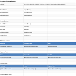 Project Status Report