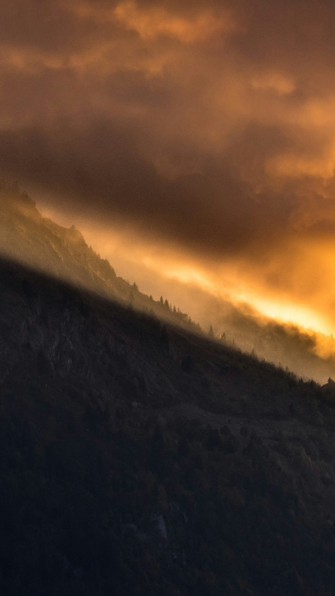 Landscapes