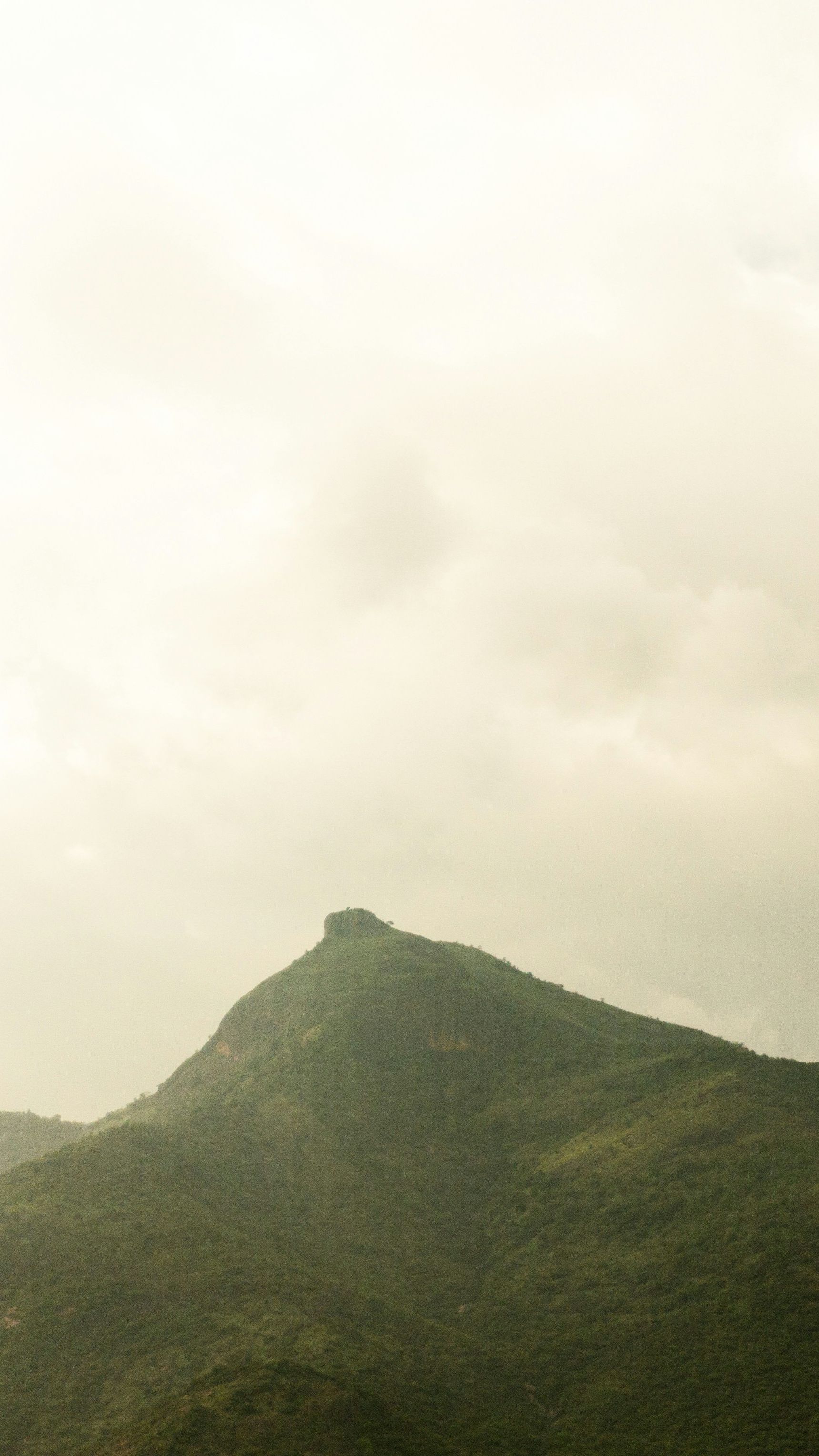 Landscapes