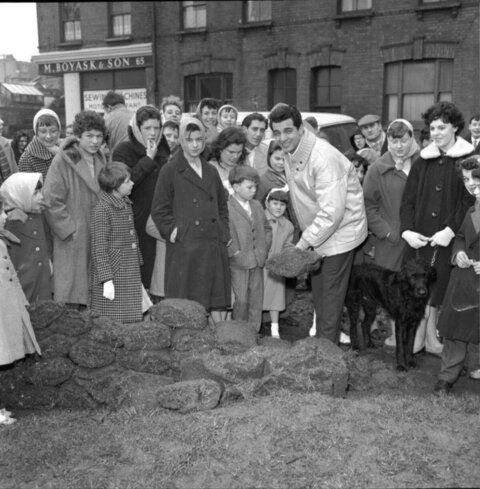 Crowd Watches Celebrity Hold Peat Turf