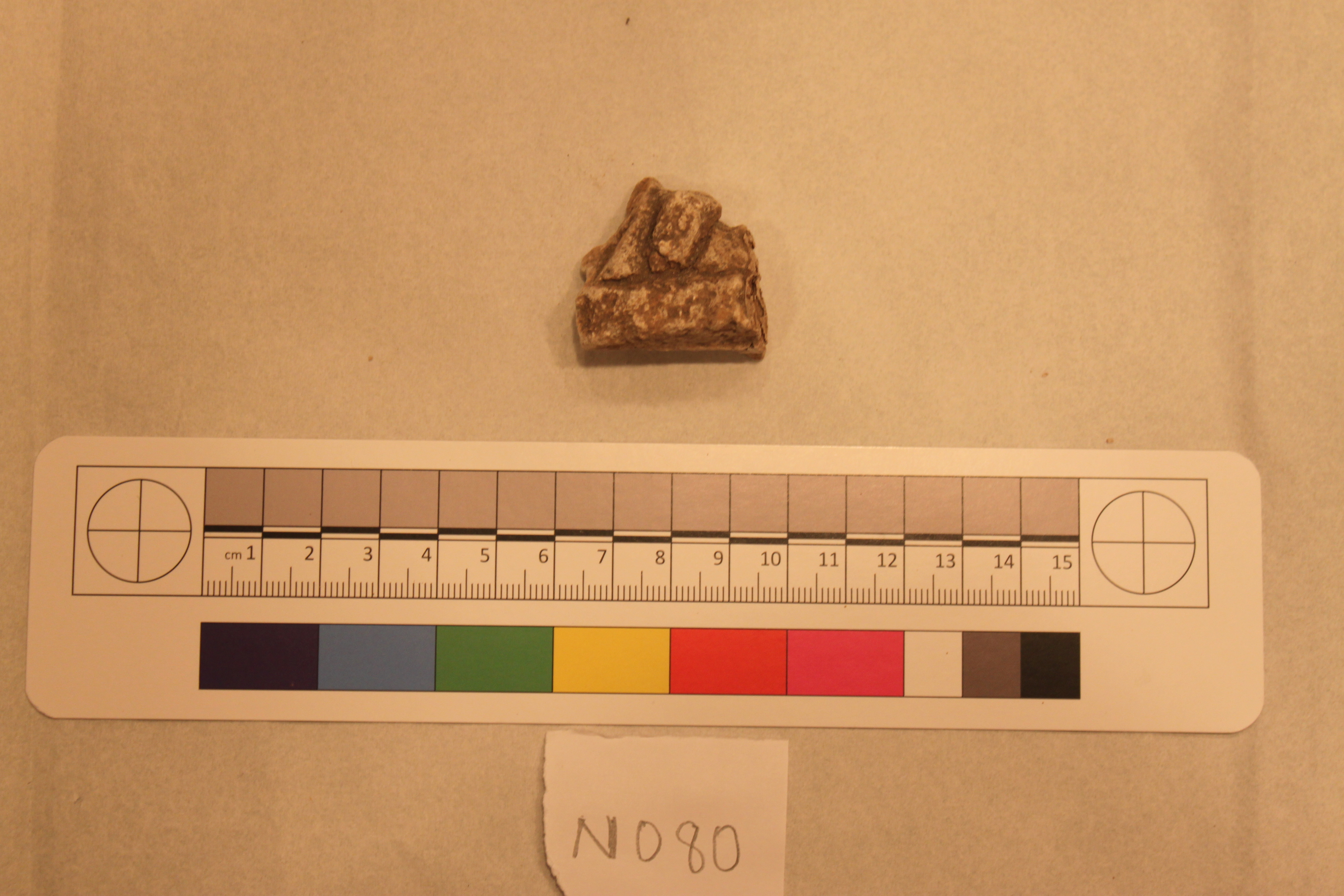 Archaeological Fragment Specimen N080