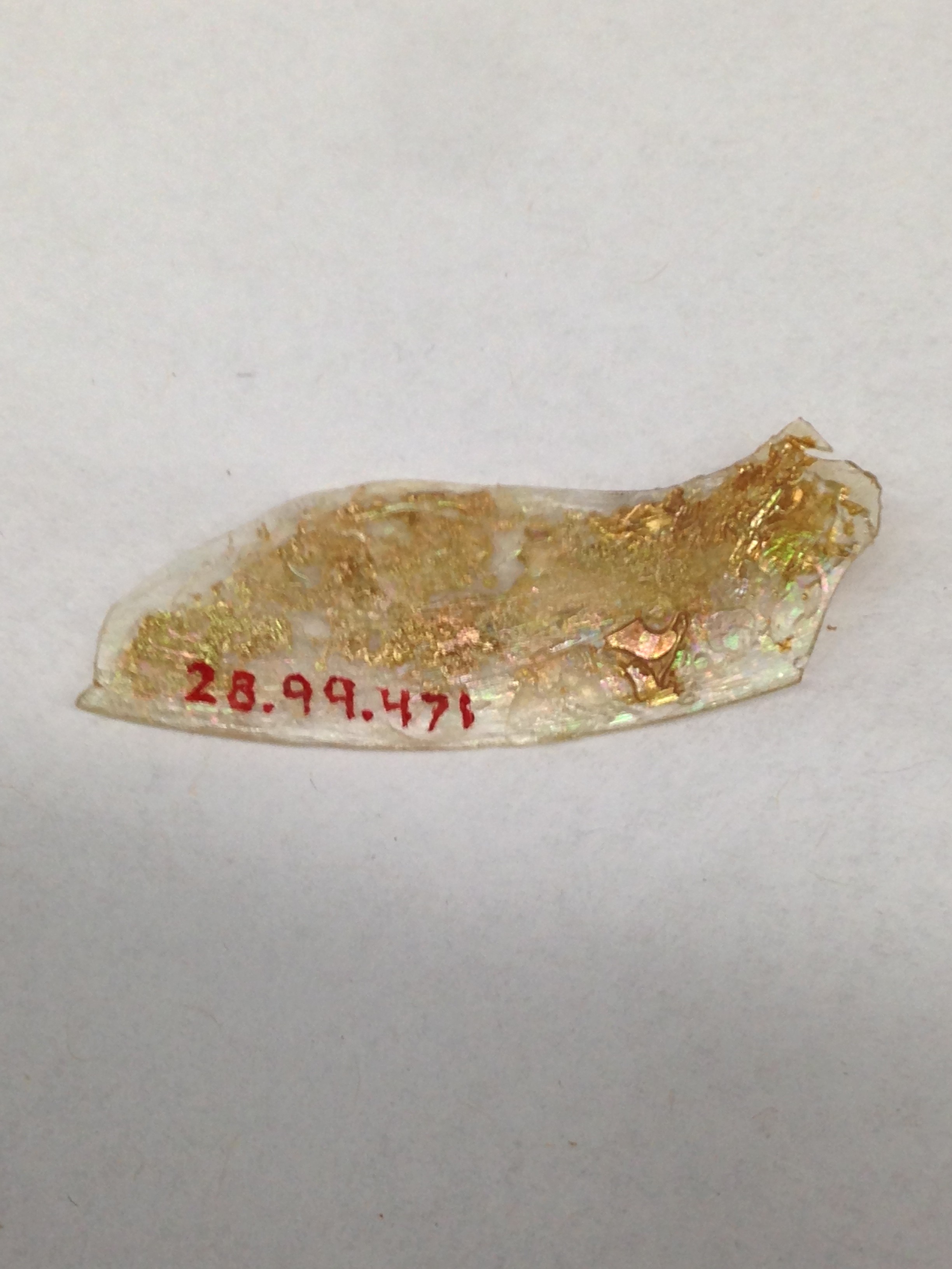 Gilded Glass Fragment with Inventory Number