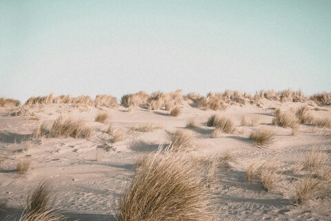 Coastal Sand Dunes with Dry Grass