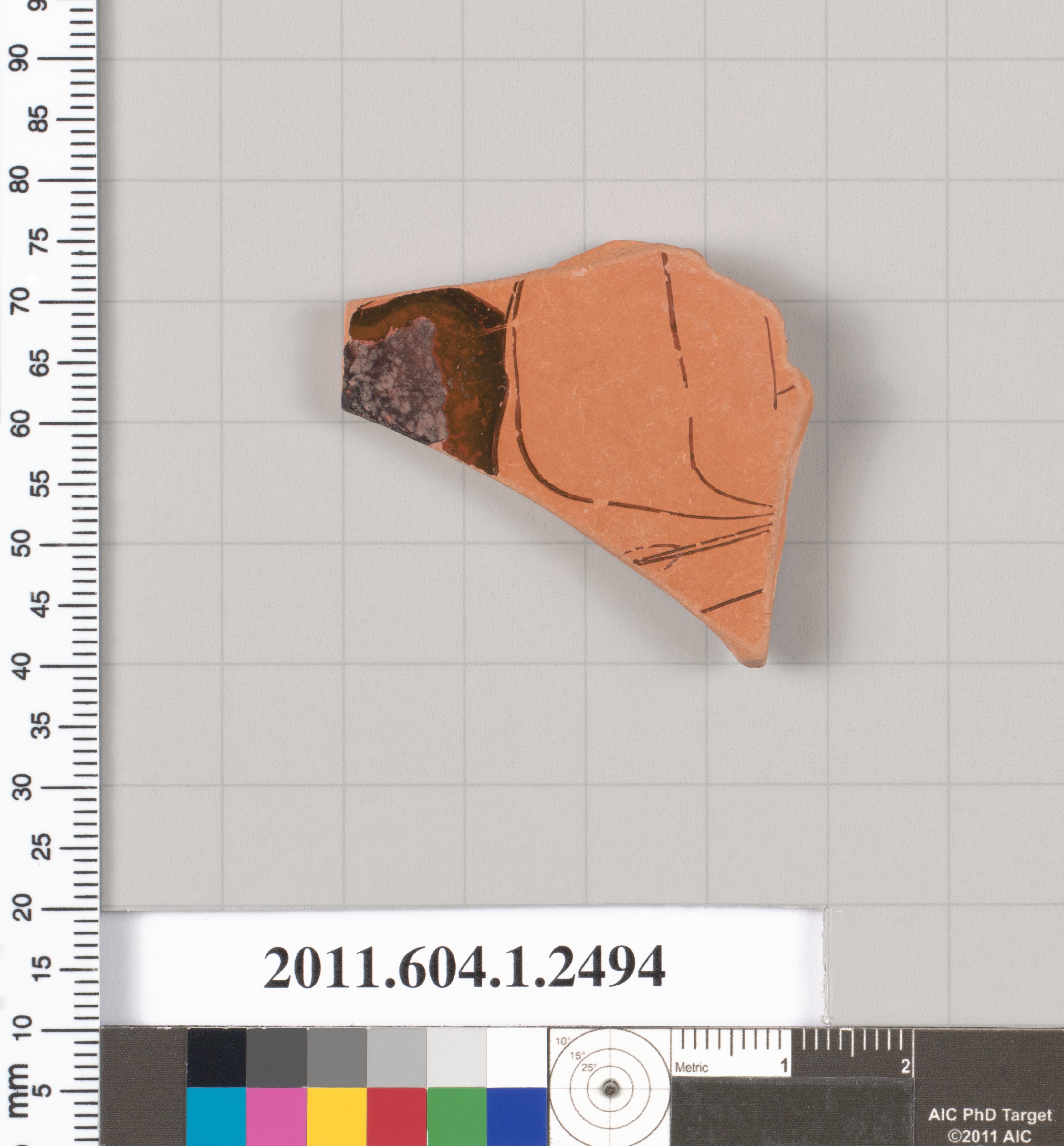 Ancient Pottery Fragment Specimen