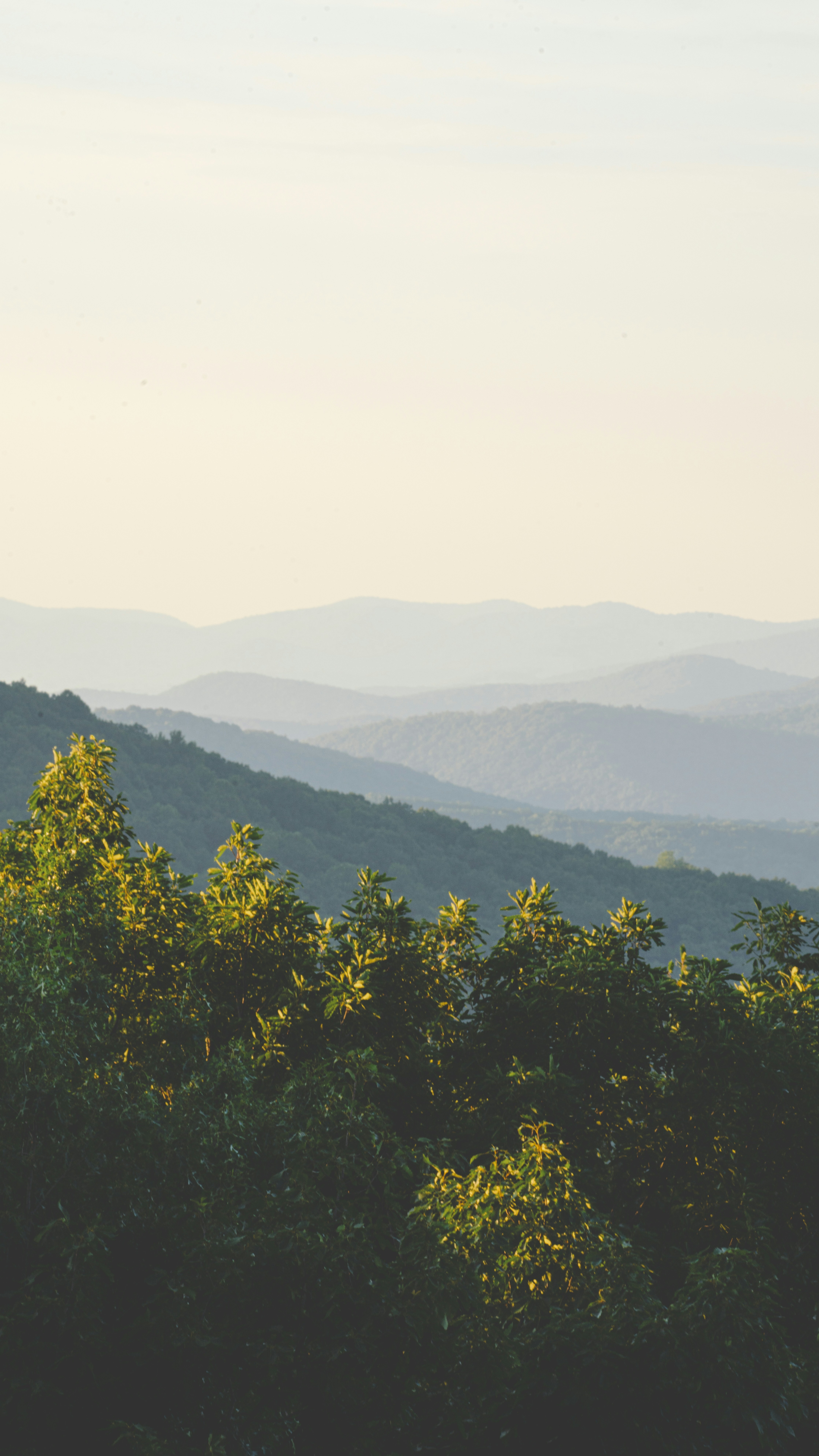 Landscapes