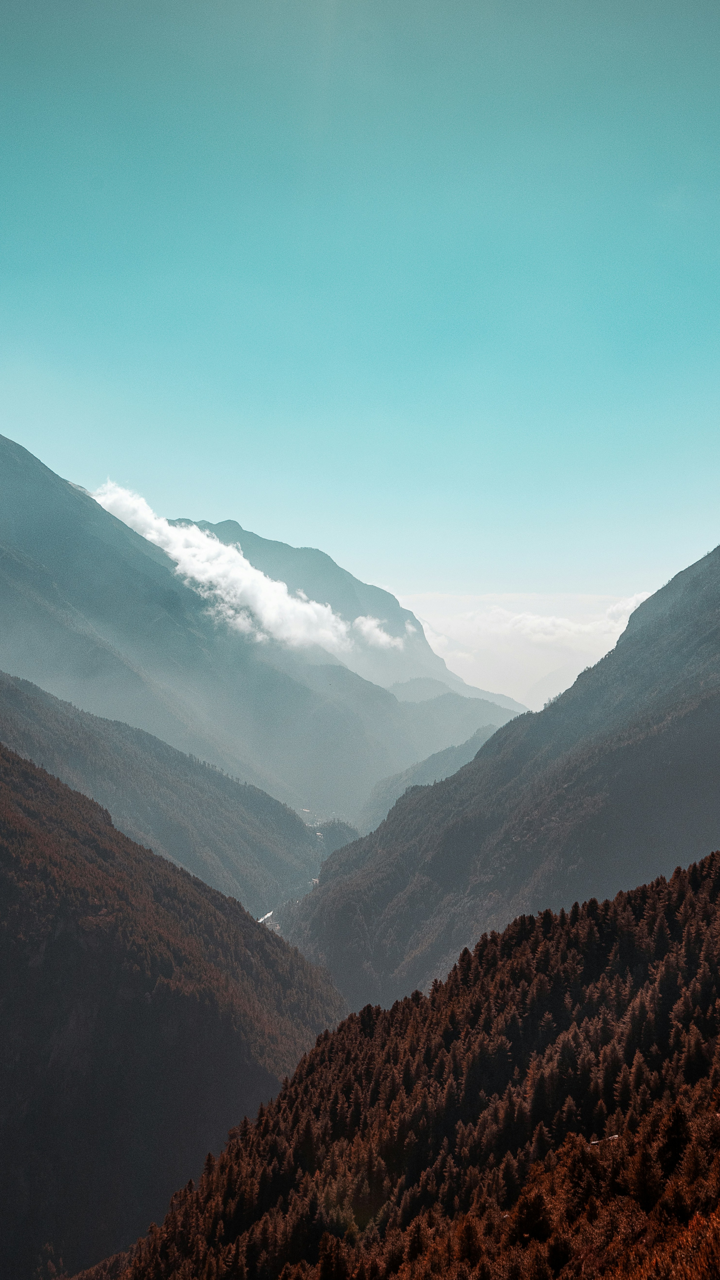 Mountain Valley Forest Landscape