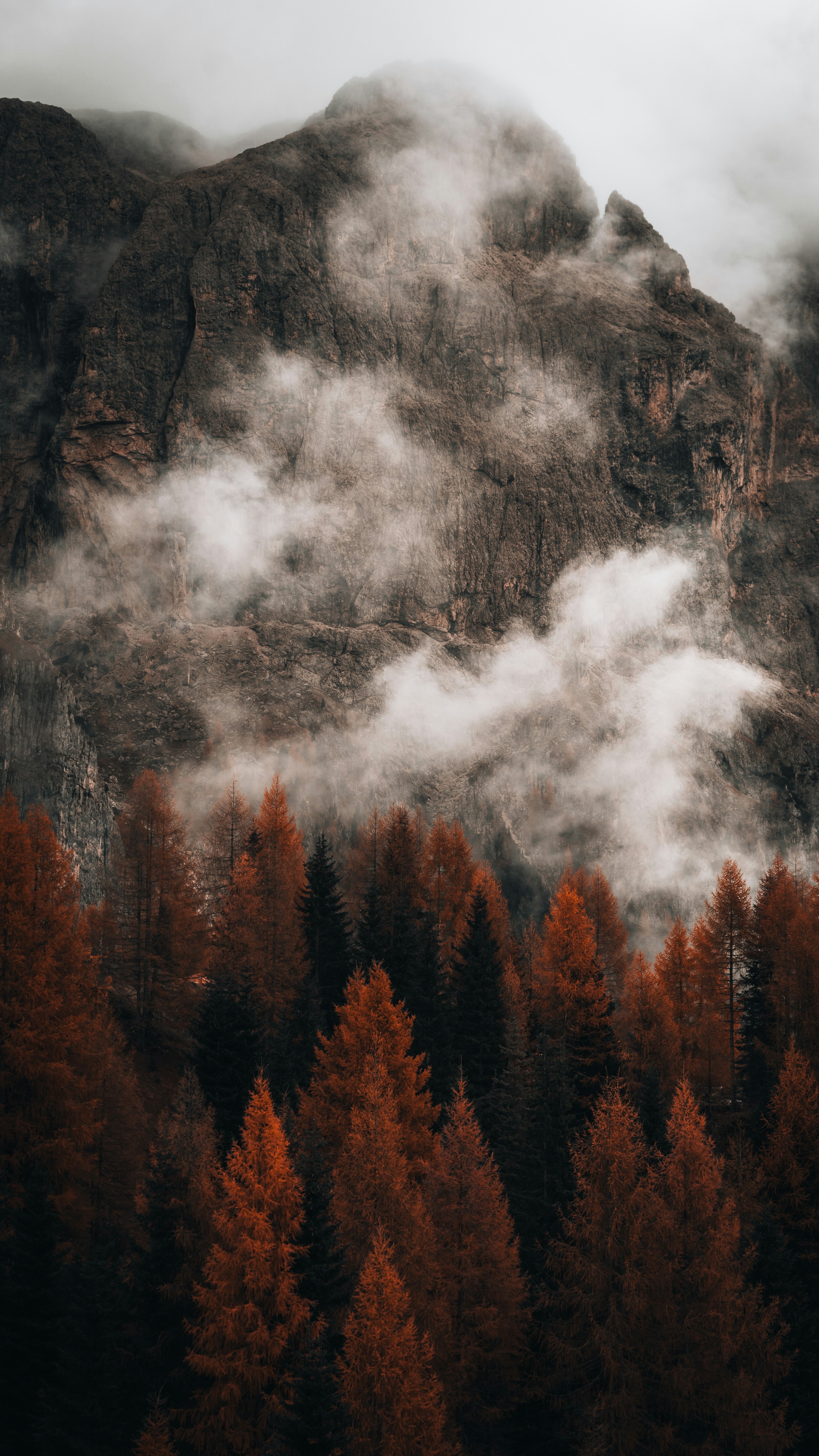Wallpapers