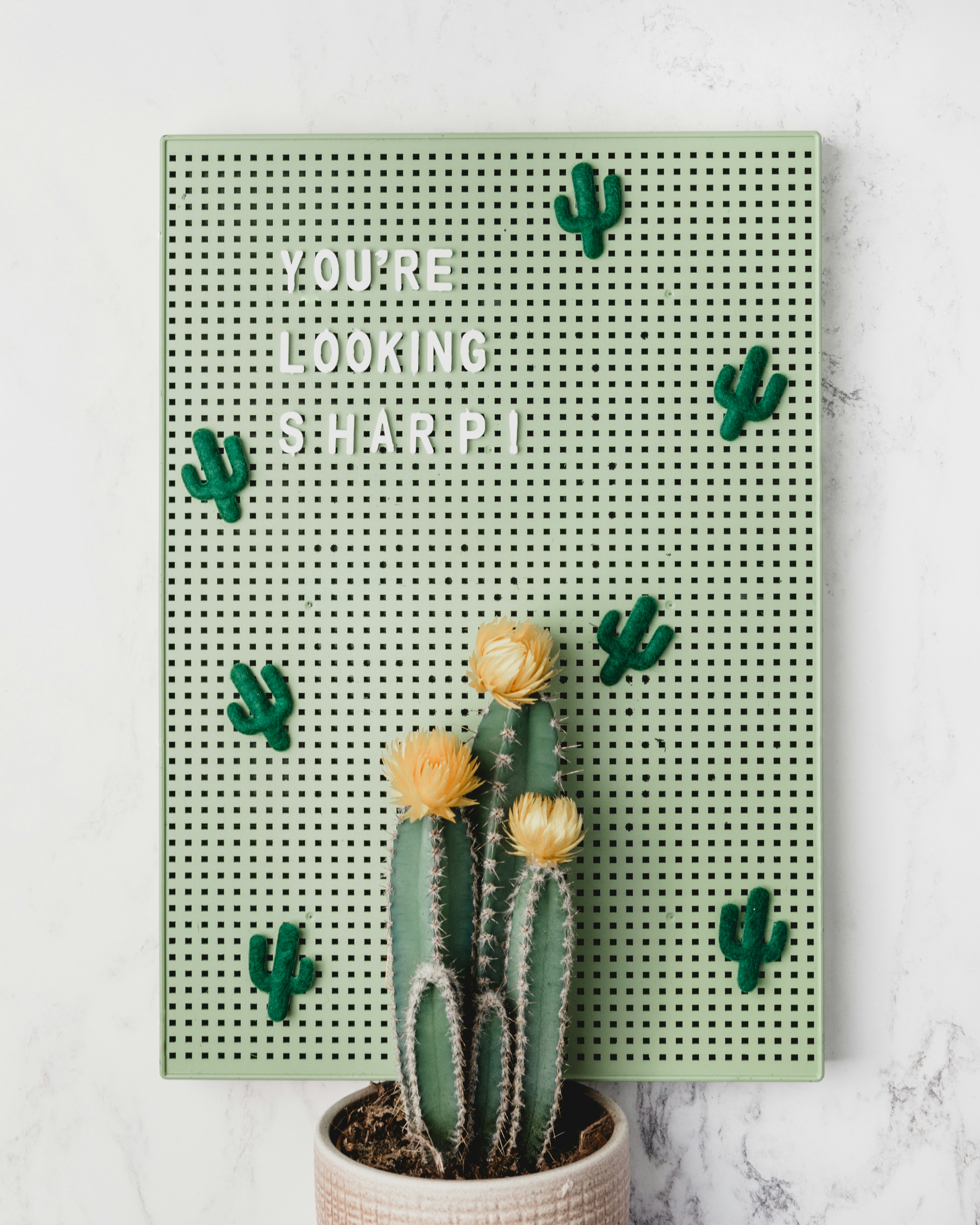 Cactus Pun Themed Home Decor