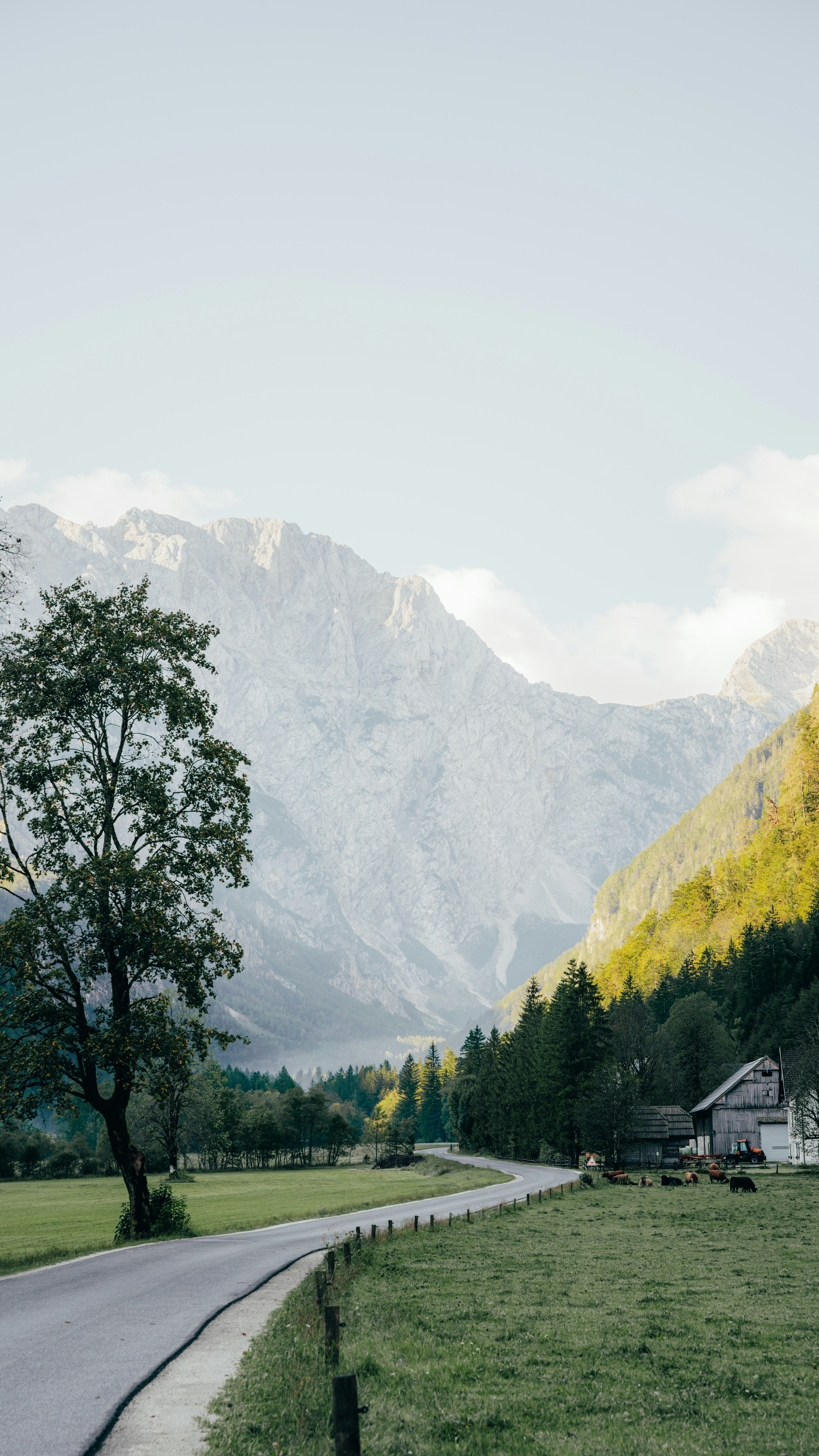 Winding Road in Alpine Mountain Valley