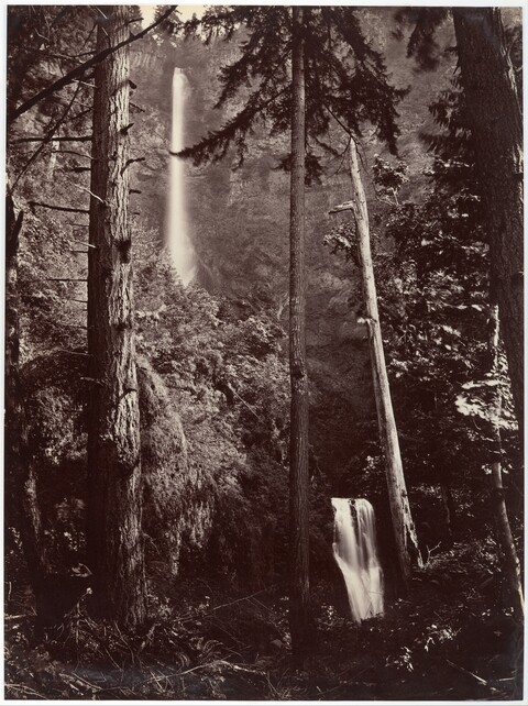 Two Waterfalls in Dense Forest